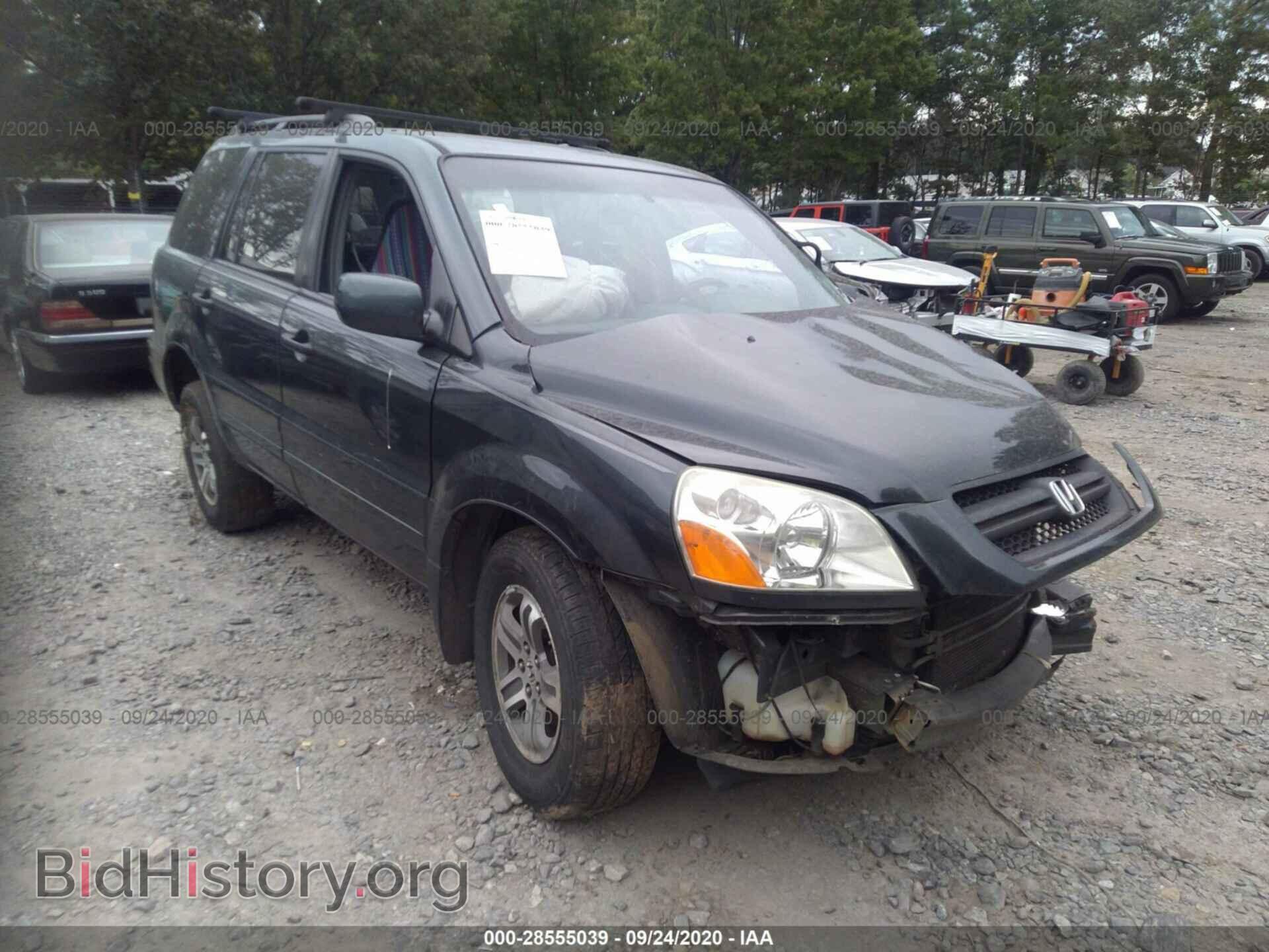 Photo 5FNYF18555B010524 - HONDA PILOT 2005