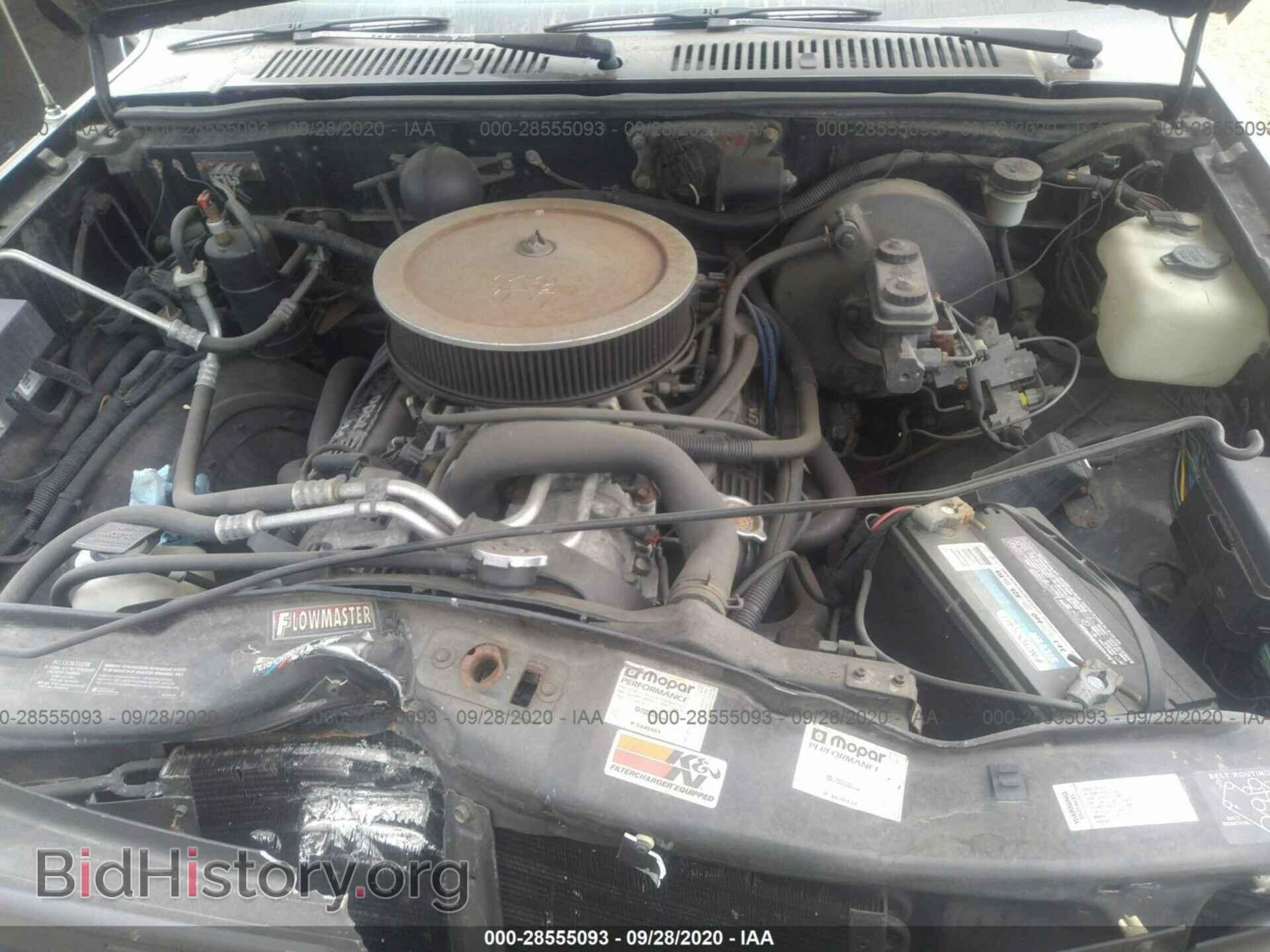 1996 DODGE DAKOTA - VIN: 1B7FL26Y9TS536612 - Фото 10