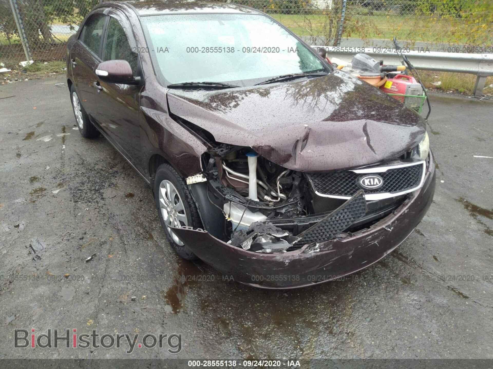 2010 KIA FORTE - VIN: KNAFU4A29A5867128 - Фото 6