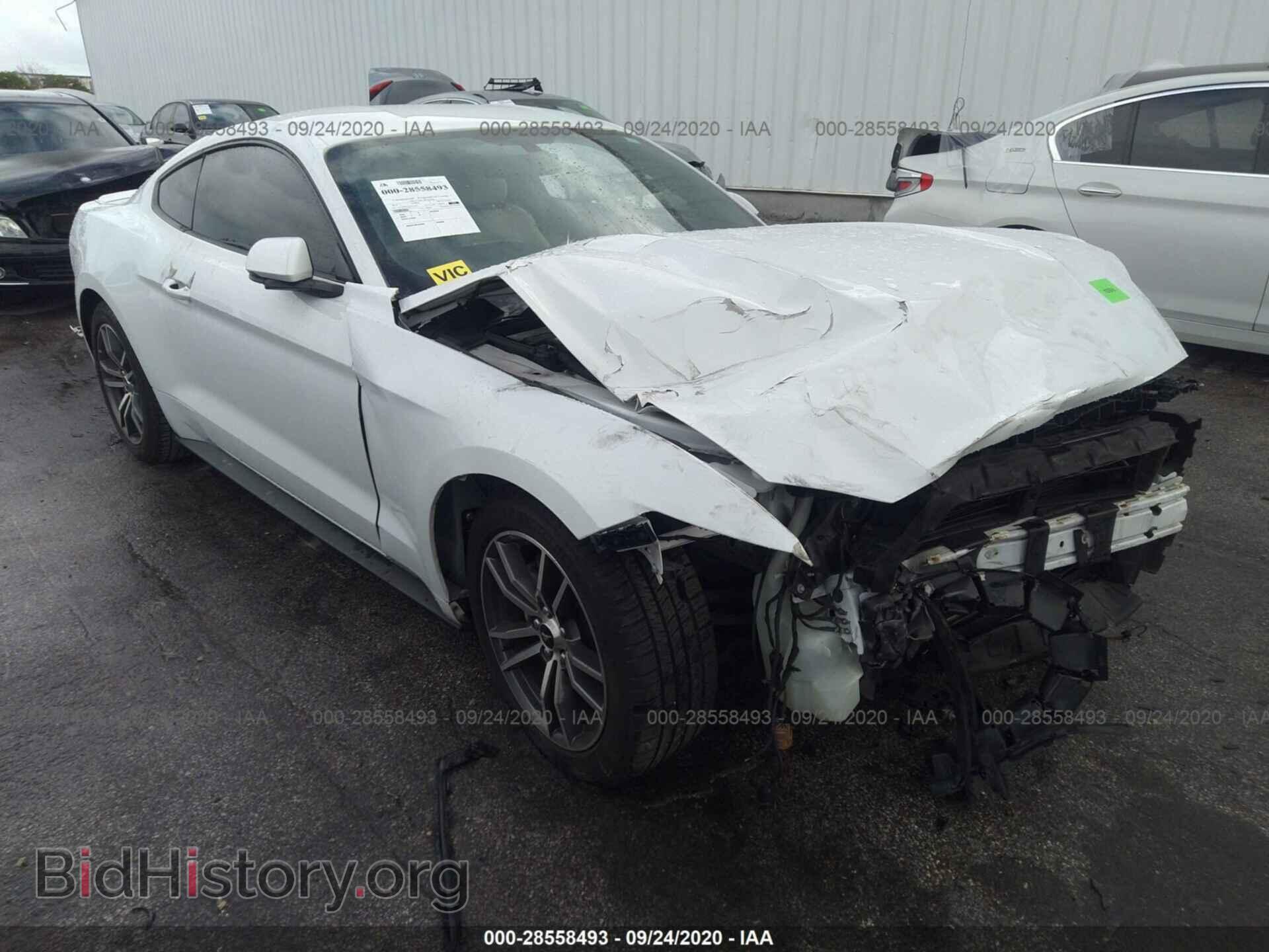 Фотография 1FA6P8TH1F5323335 - FORD MUSTANG 2015