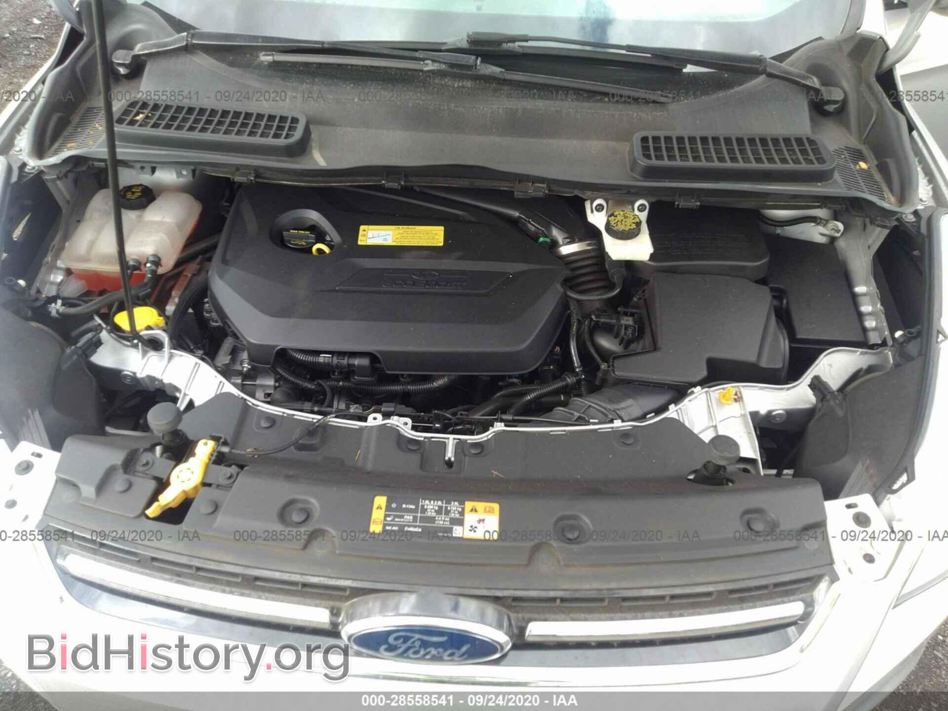 2013 FORD ESCAPE - VIN: 1FMCU9HX8DUB40444 - Photo 10