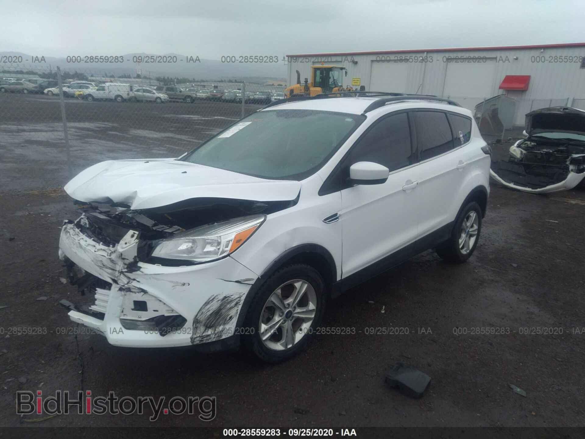 2013 FORD ESCAPE - VIN: 1FMCU9G97DUD25331 - Photo 2