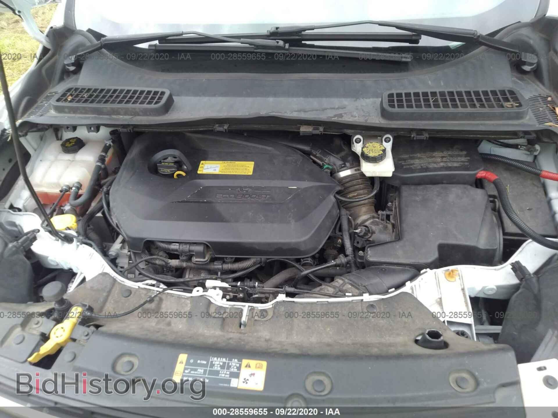 2014 FORD ESCAPE - VIN: 1FMCU0GX4EUC02789 - Фото 10