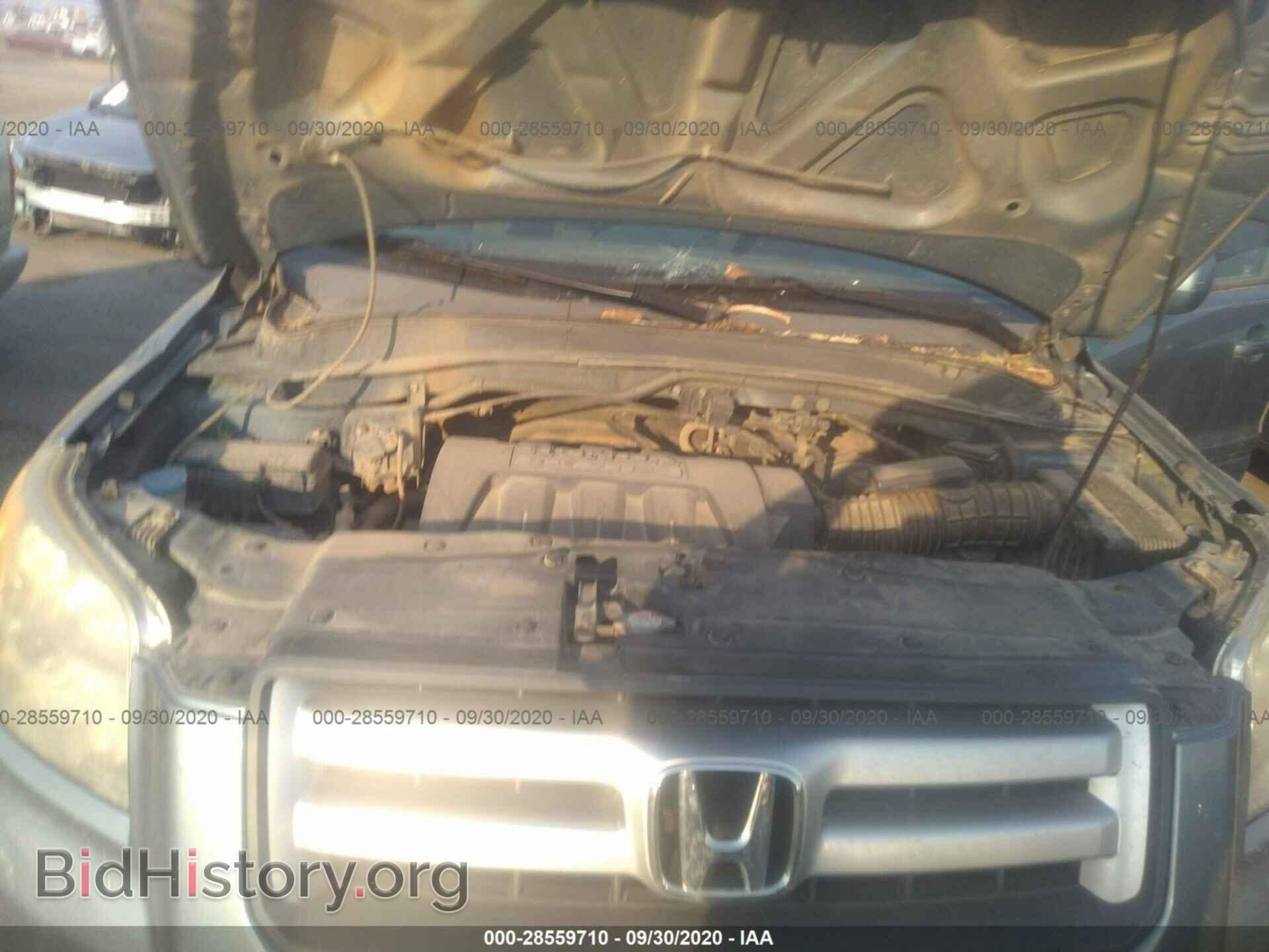2006 HONDA PILOT - VIN: 2HKYF18406H554519 - Фото 10
