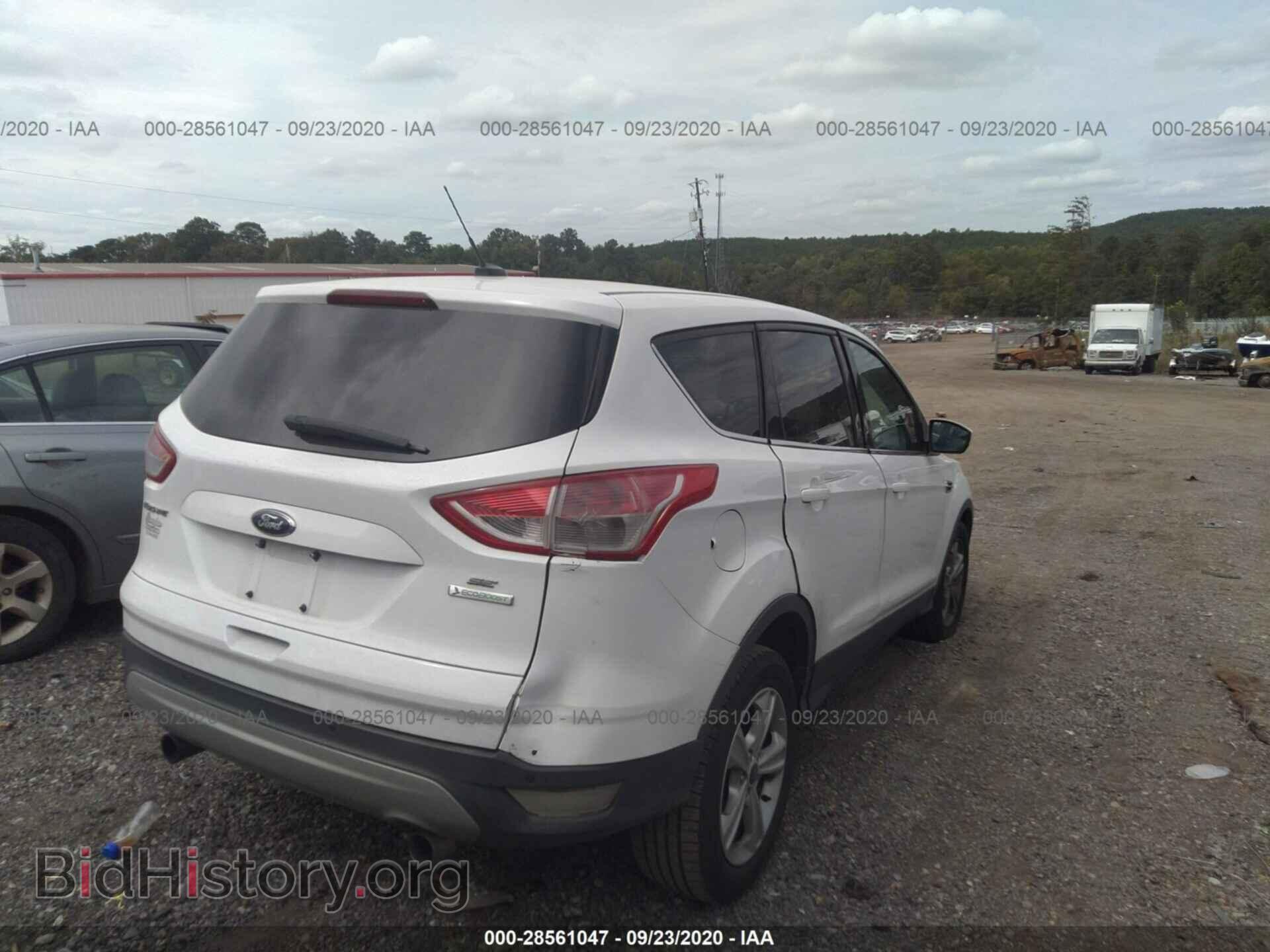 2013 FORD ESCAPE - VIN: 1FMCU0GX8DUA74216 - Photo 4