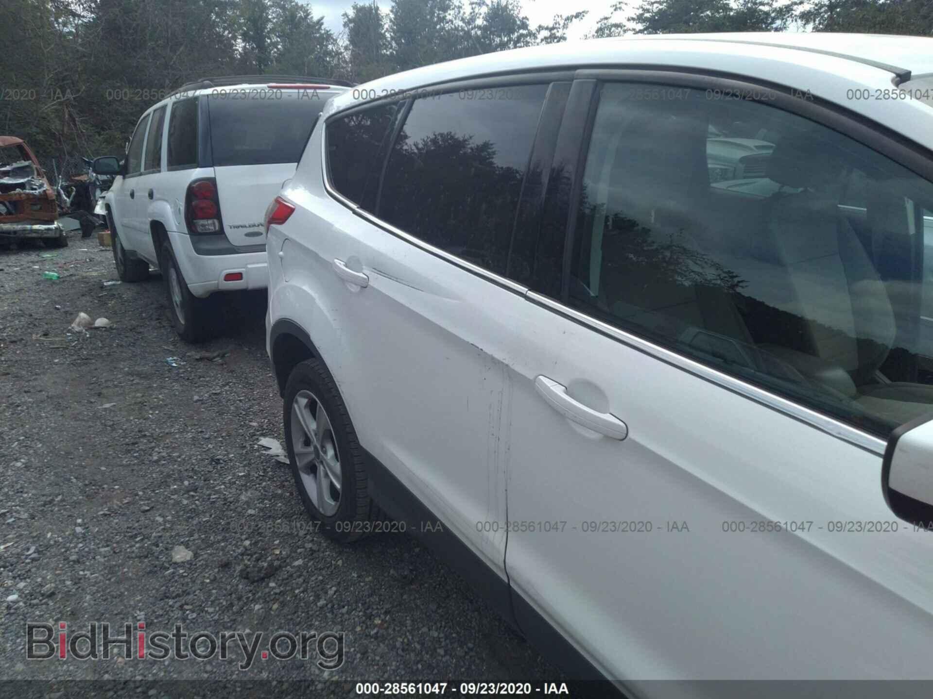 2013 FORD ESCAPE - VIN: 1FMCU0GX8DUA74216 - Photo 6