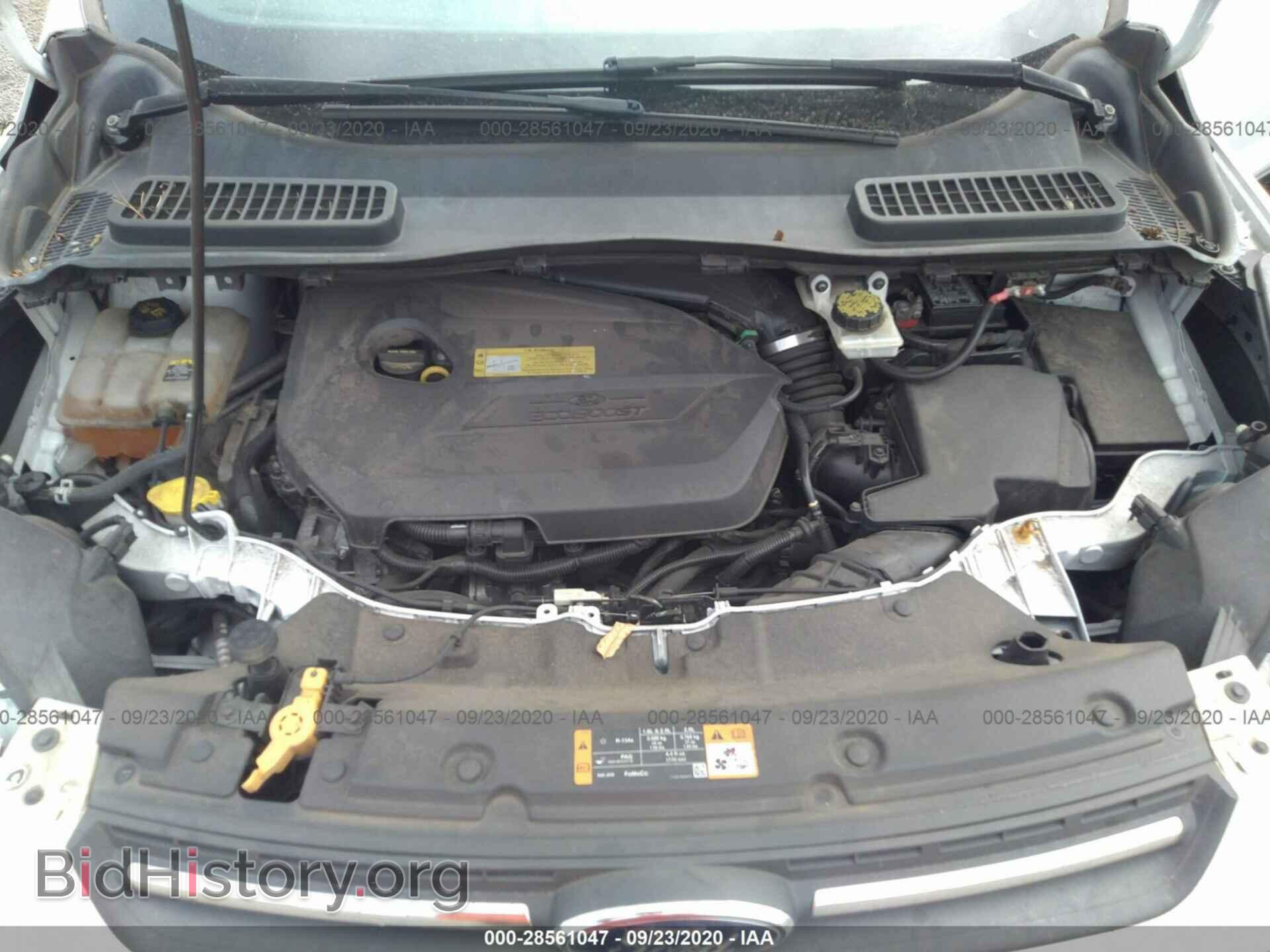 2013 FORD ESCAPE - VIN: 1FMCU0GX8DUA74216 - Photo 10