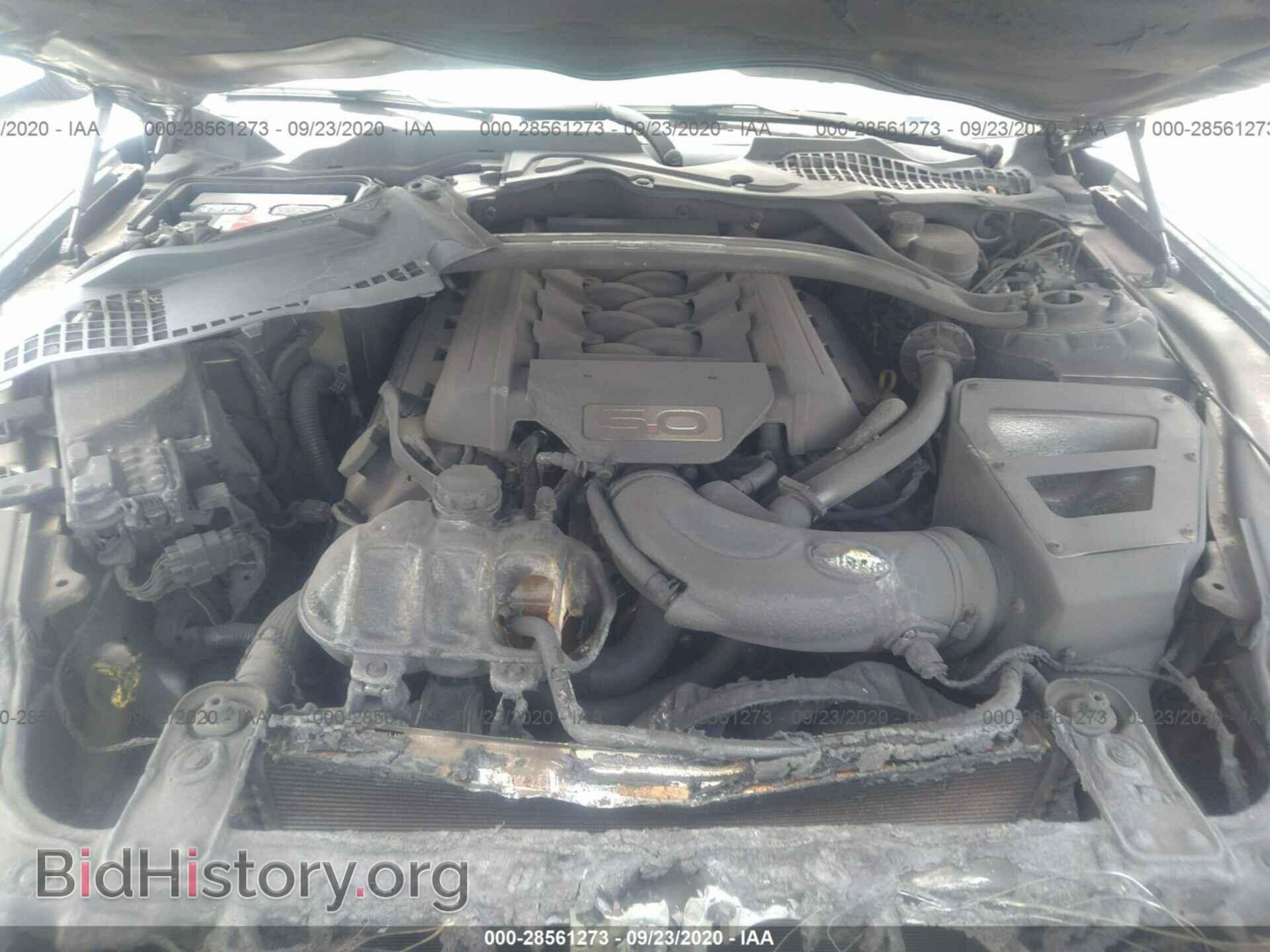2015 FORD MUSTANG - VIN: 1FA6P8CF5F5346826 - Фото 10