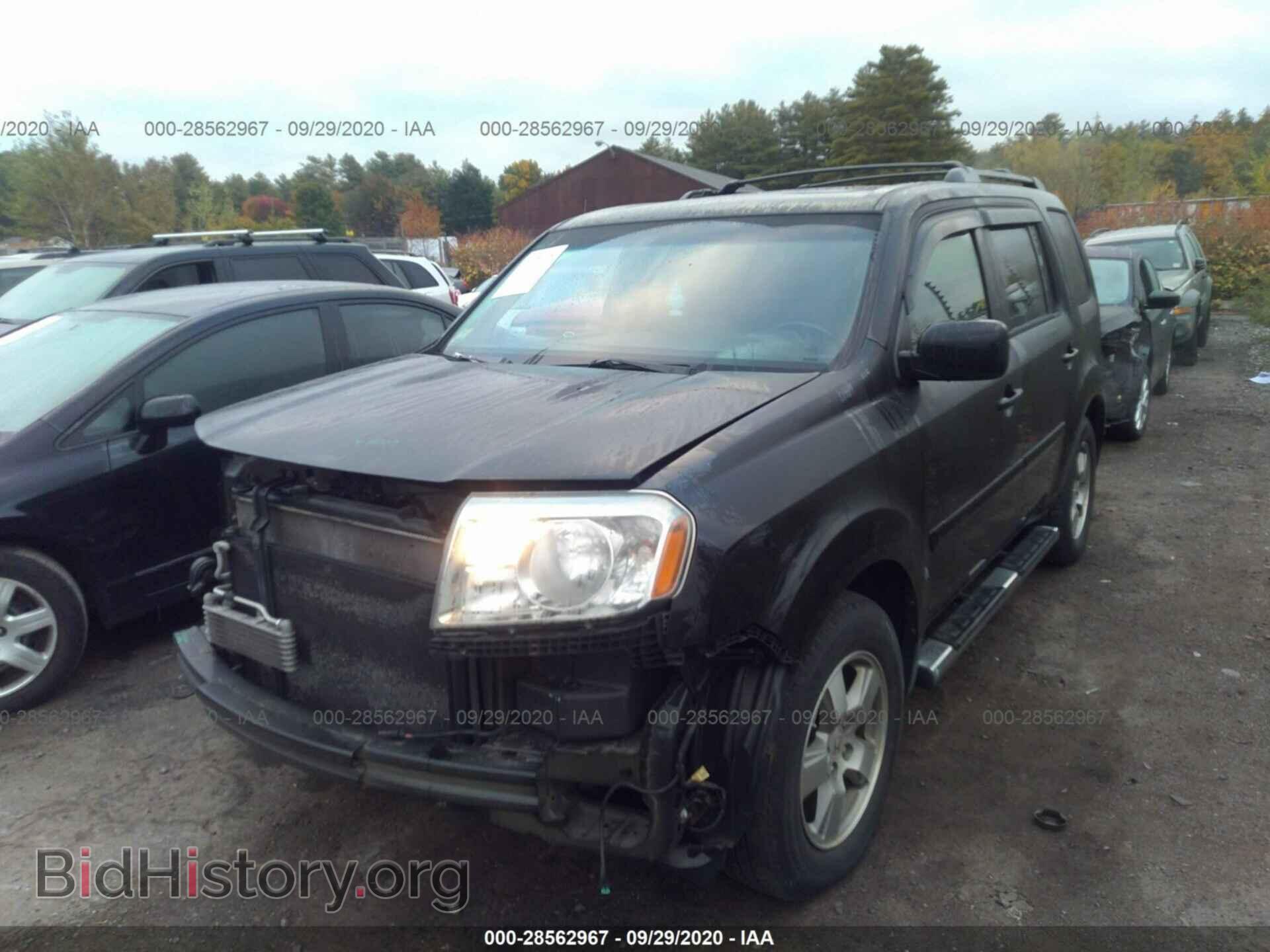 2010 HONDA PILOT - VIN: 5FNYF4H50AB022589 - Фото 2
