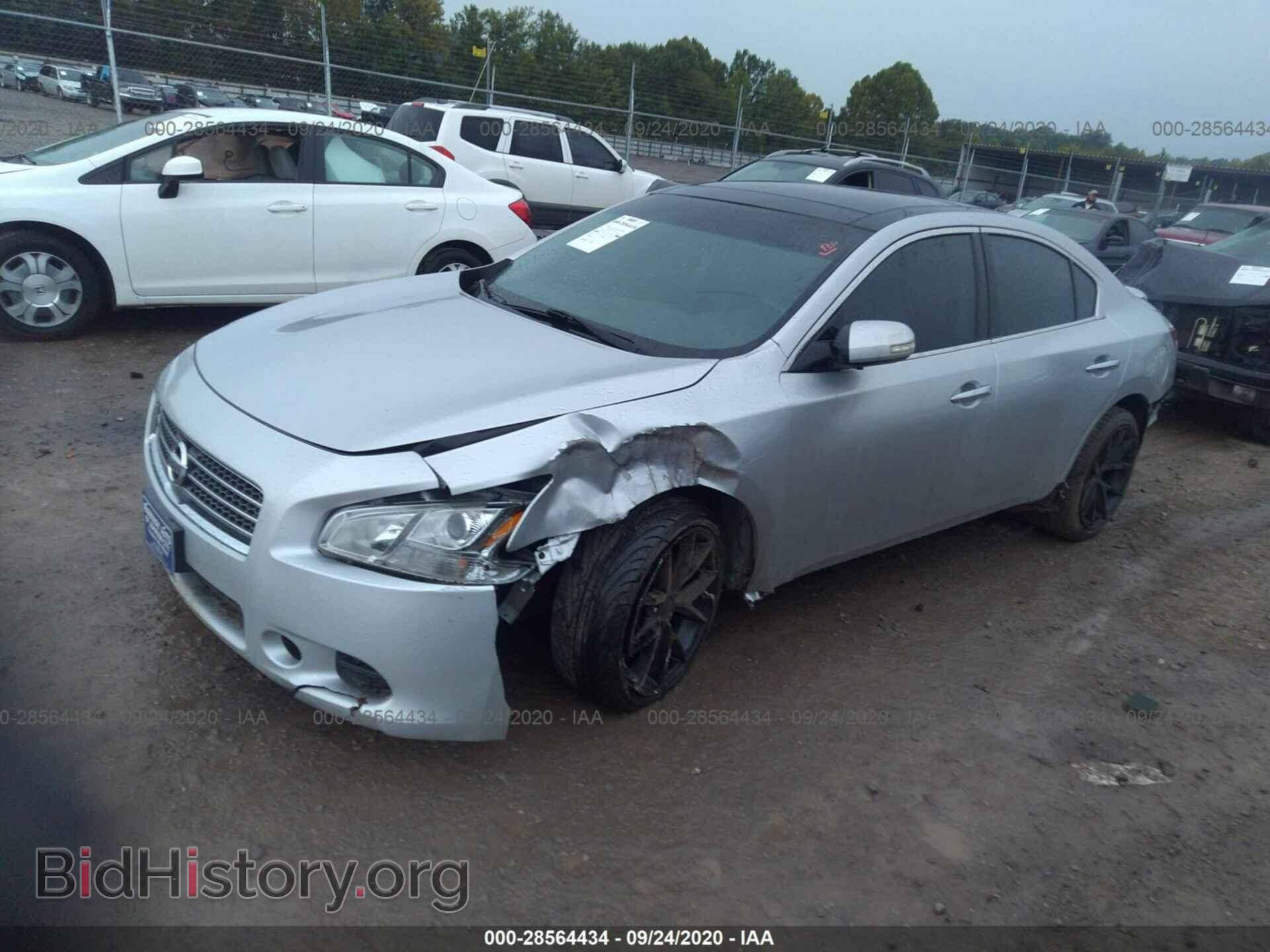 2011 NISSAN MAXIMA - VIN: 1N4AA5AP3BC868379 - Фото 2