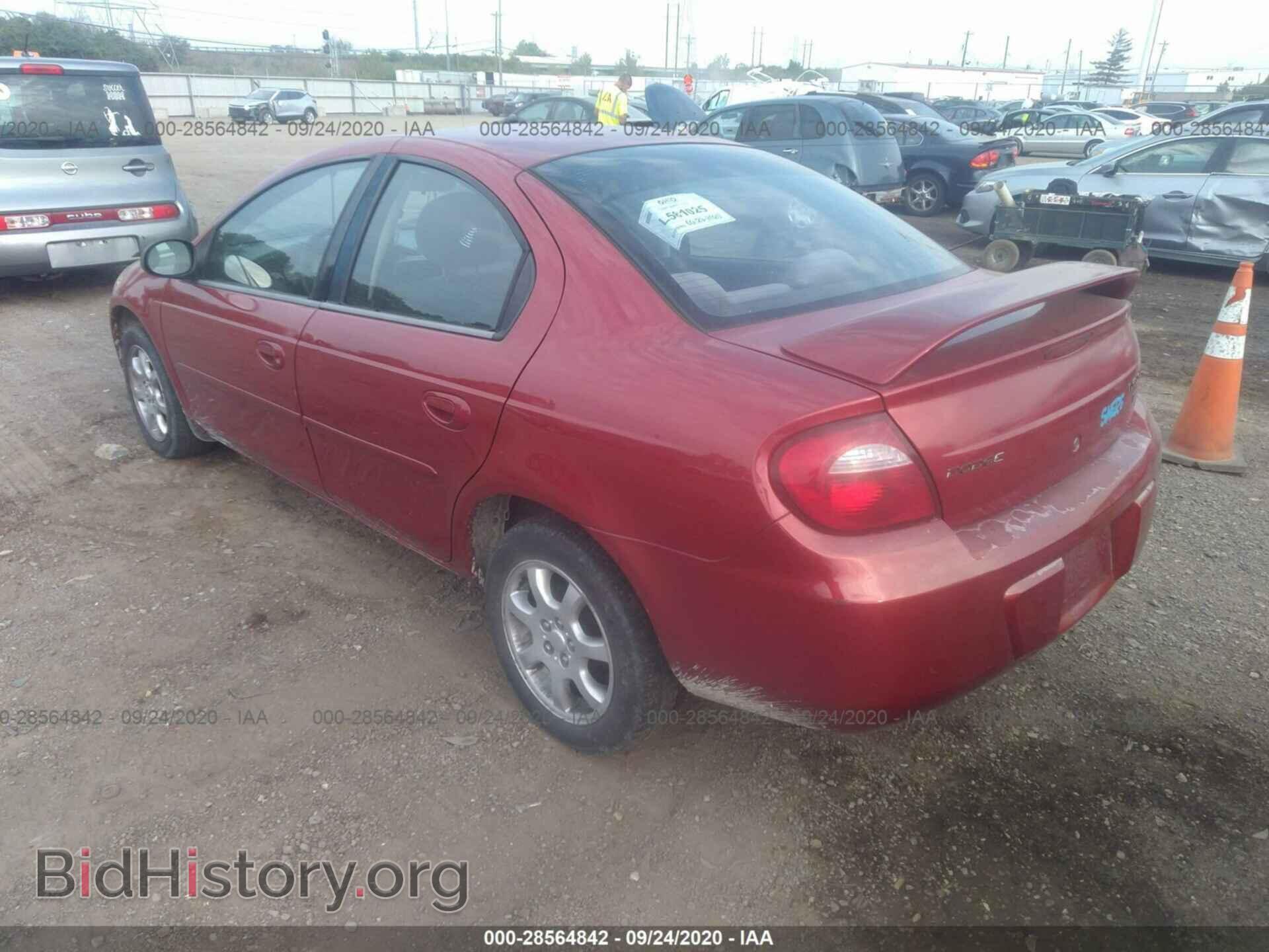 2005 DODGE NEON - VIN: 1B3ES56C45D259283 - Фото 3
