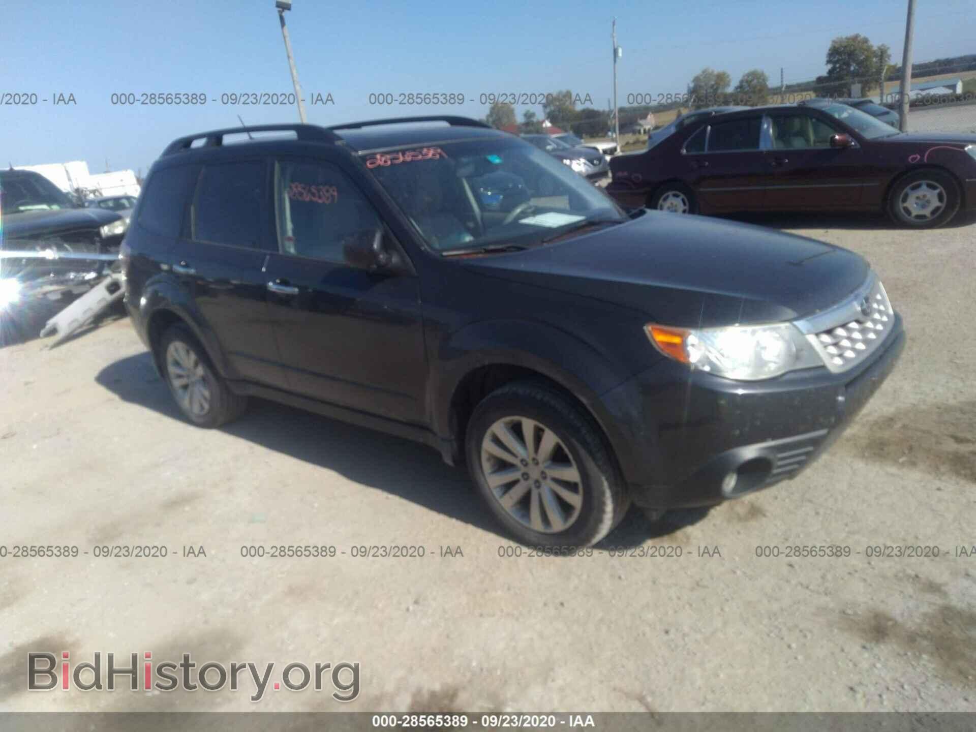 Фотография JF2SHAEC9BH716492 - SUBARU FORESTER 2011