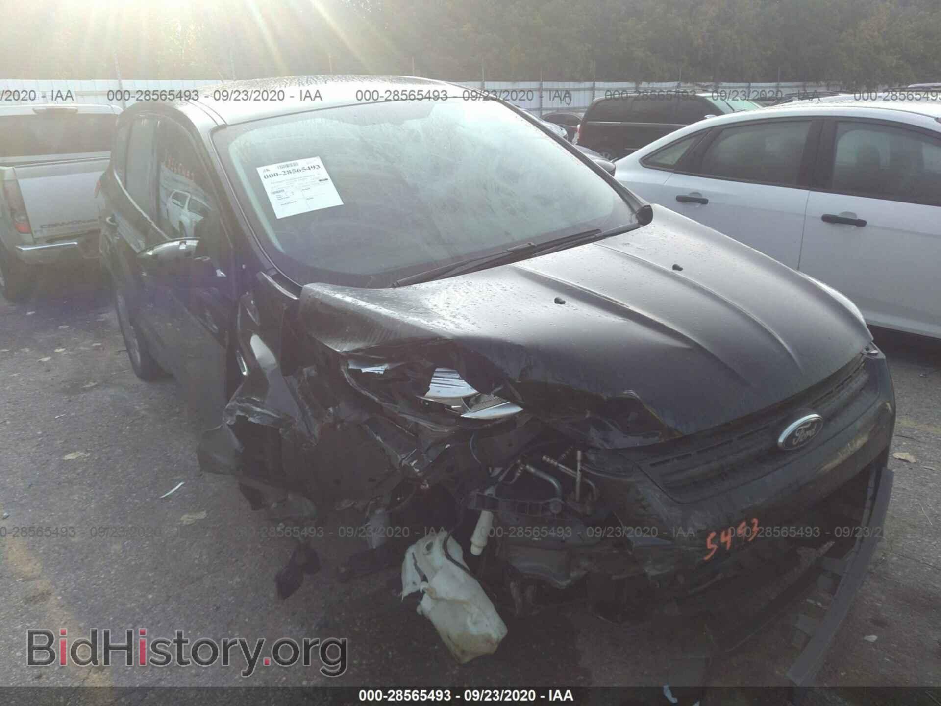 Photo 1FMCU0F75DUD35903 - FORD ESCAPE 2013