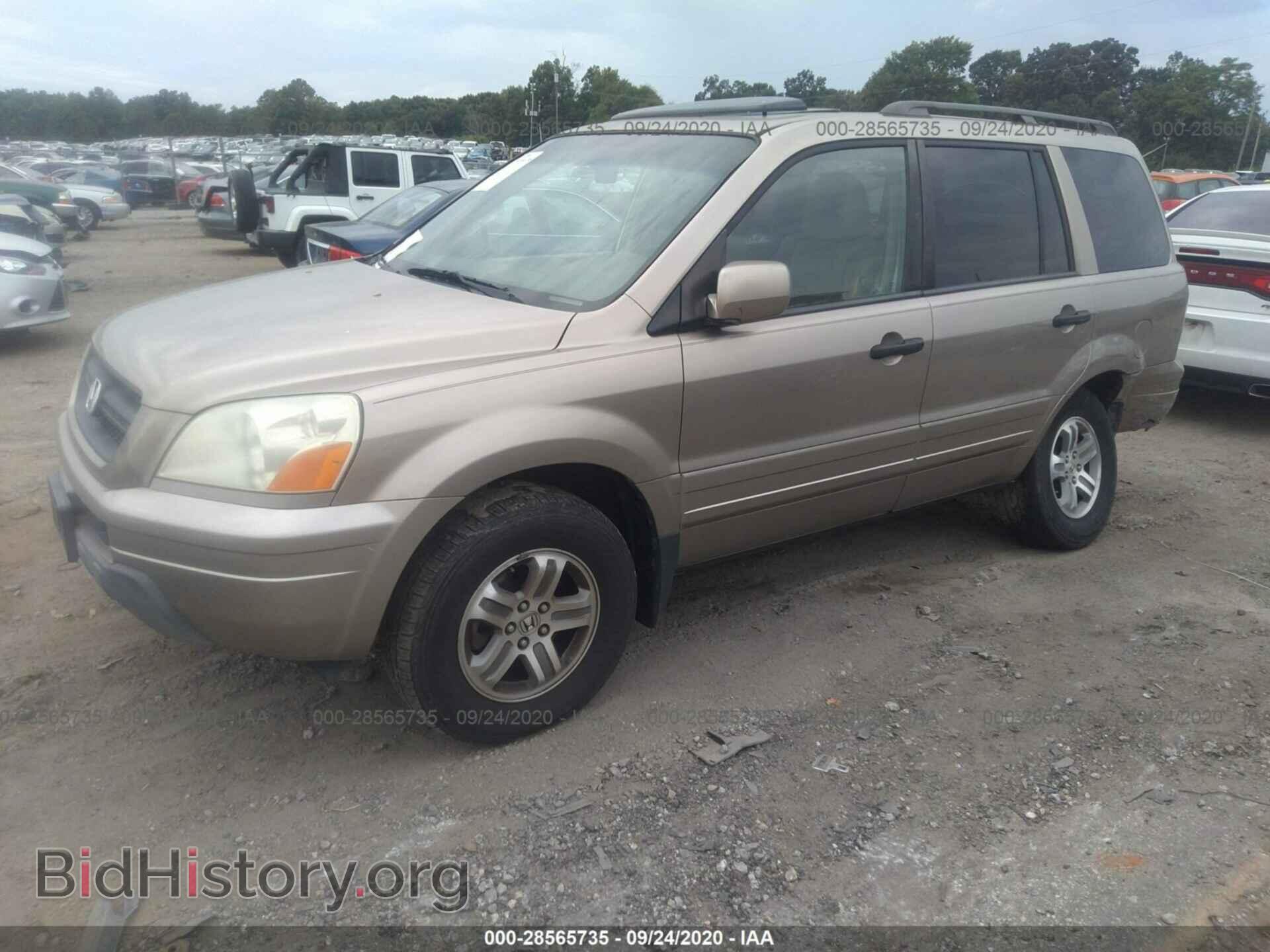 2005 HONDA PILOT - VIN: 2HKYF18745H571798 - Фото 2