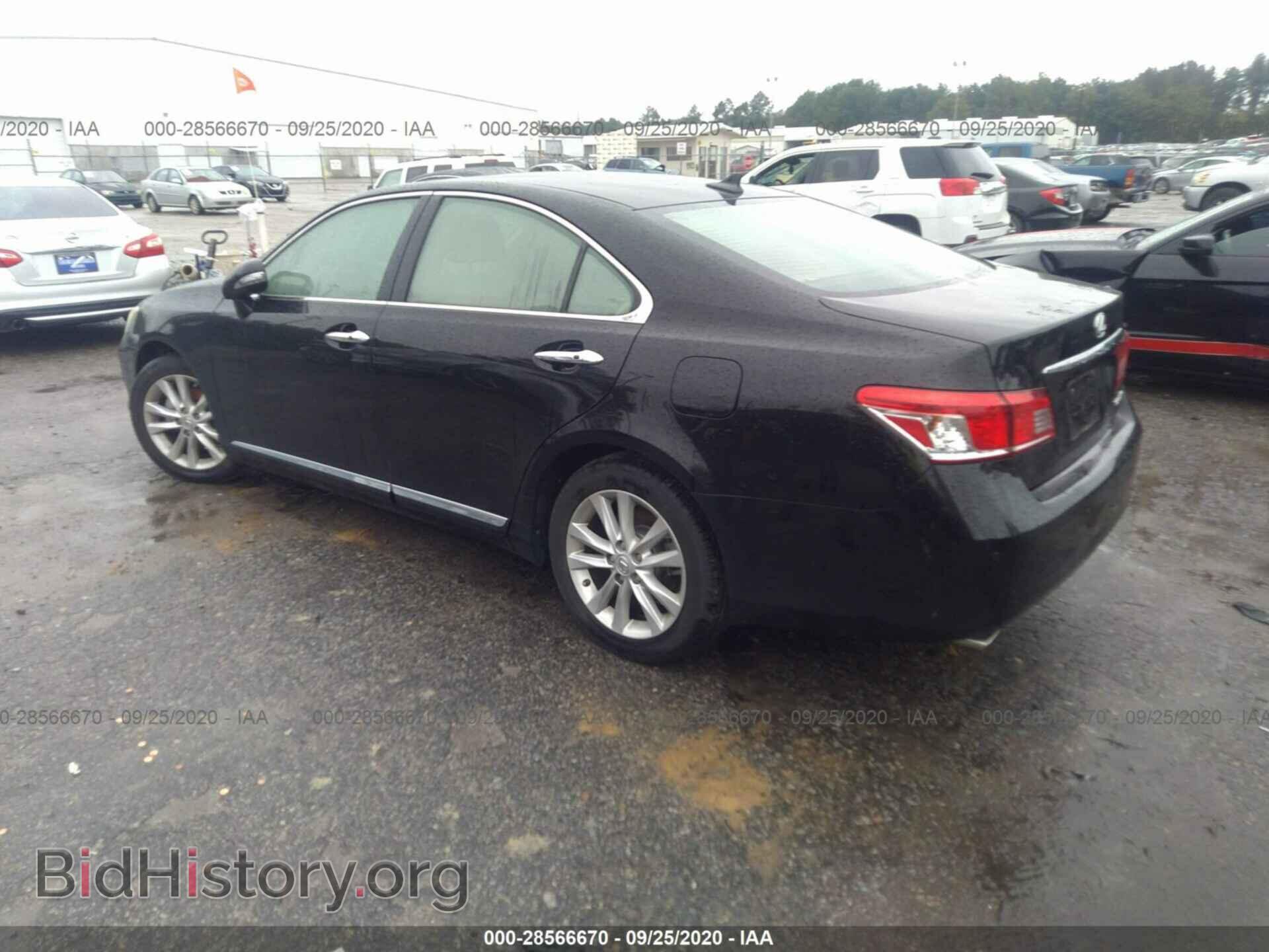 2011 LEXUS ES 350 - VIN: JTHBK1EG2B2460314 - Фото 3