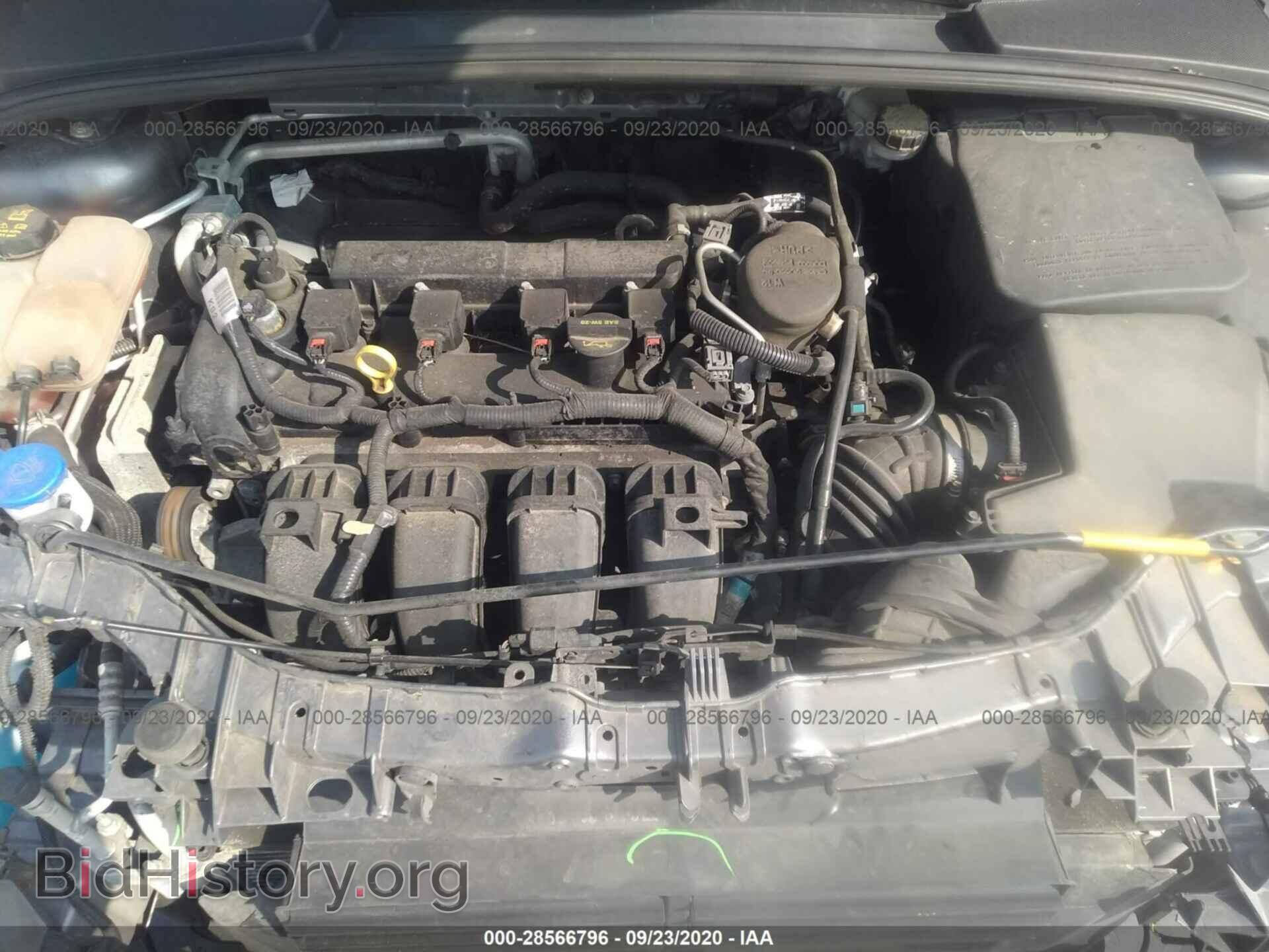 2014 FORD FOCUS - VIN: 1FADP3K20EL174367 - Фото 10