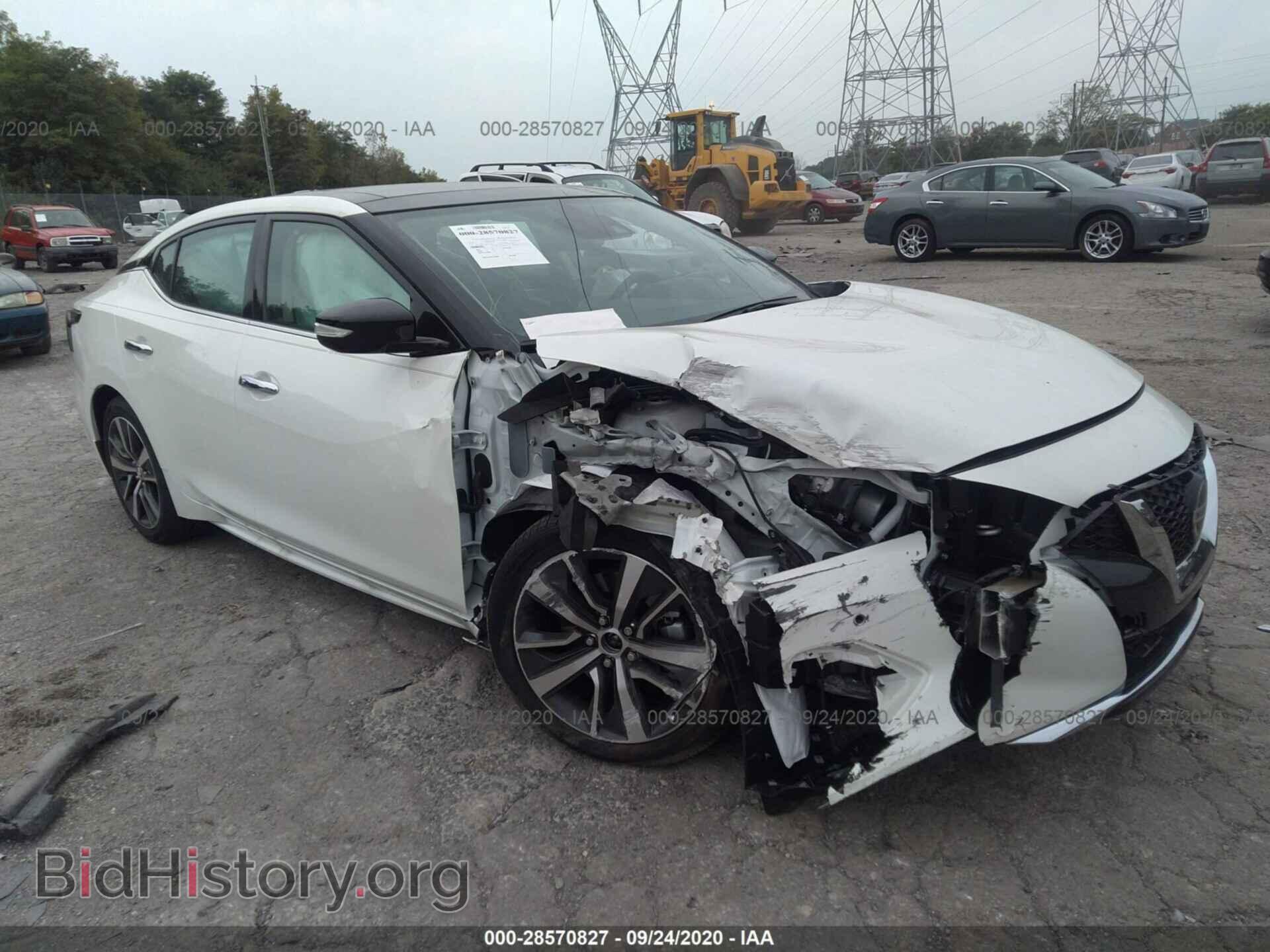 Photo 1N4AA6DV3LC371446 - NISSAN MAXIMA 2020
