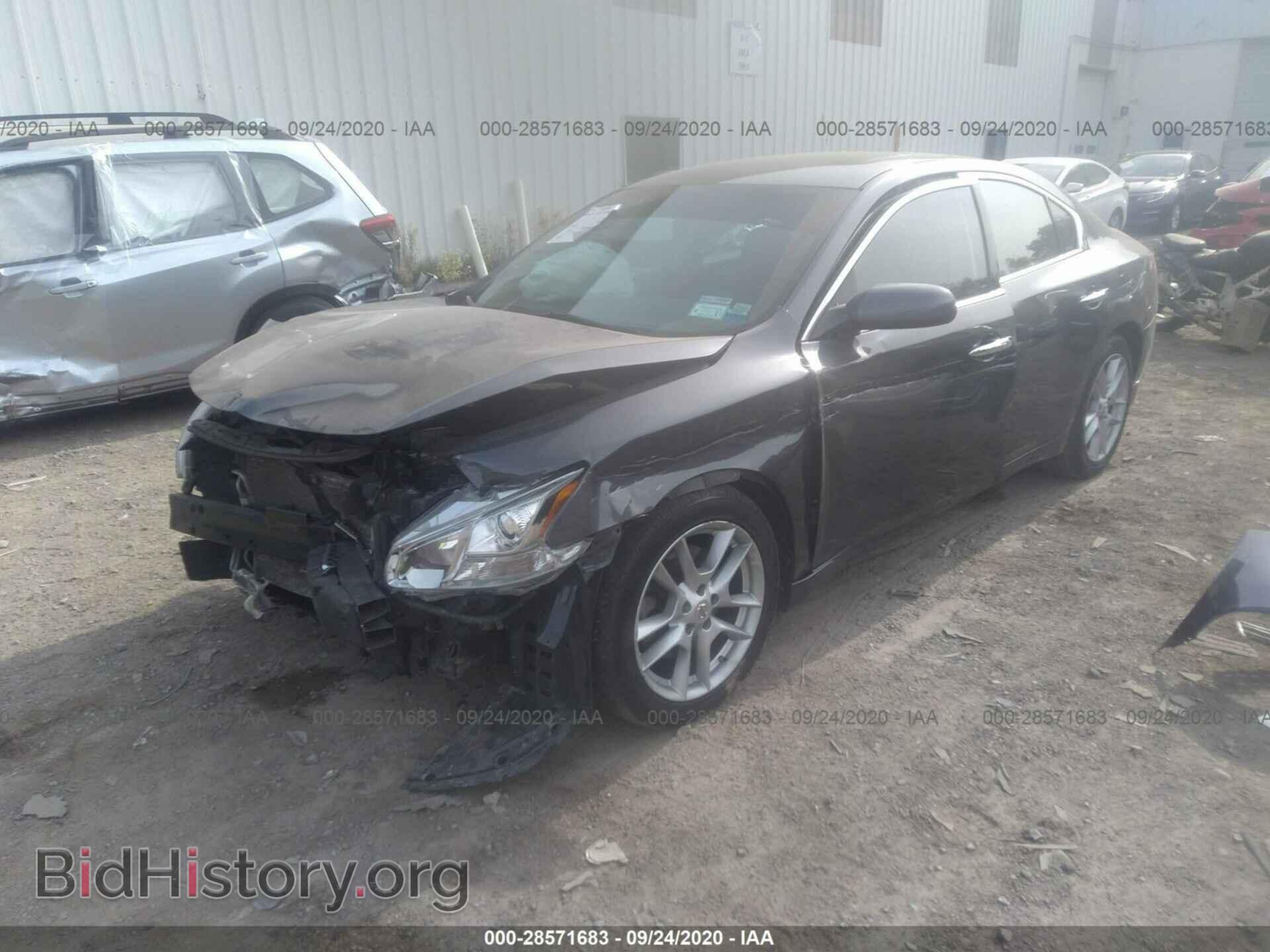 2010 NISSAN MAXIMA - VIN: 1N4AA5AP1AC845178 - Фото 2