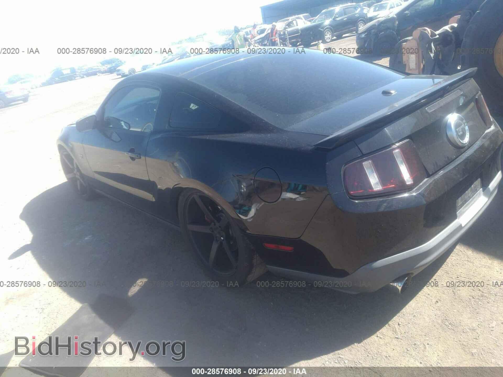 2010 FORD MUSTANG - VIN: 1ZVBP8CH5A5137005 - Фото 3