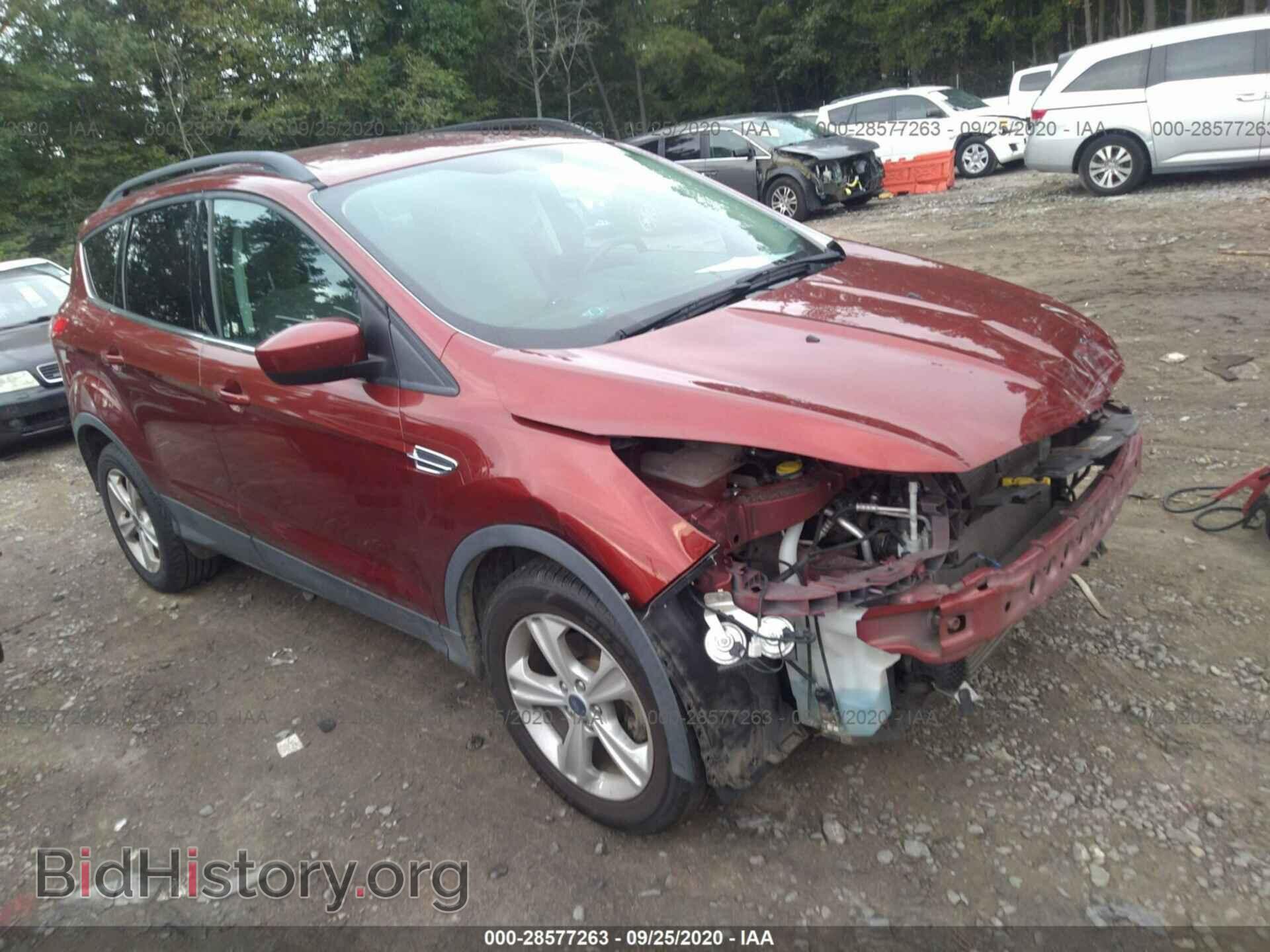 Фотография 1FMCU0GX9EUB05734 - FORD ESCAPE 2014