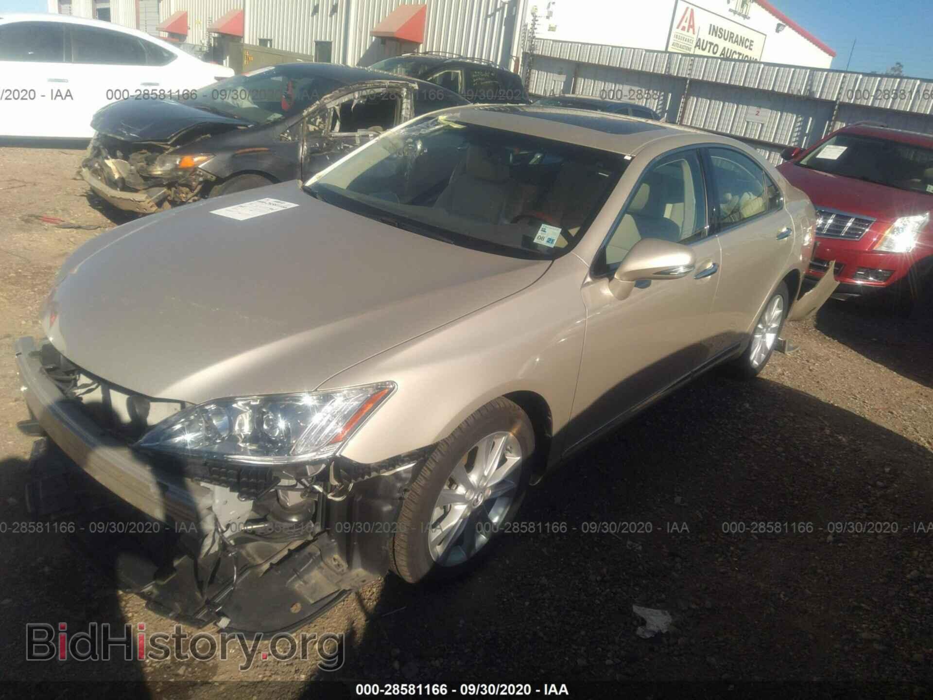 2011 LEXUS ES 350 - VIN: JTHBK1EG5B2455186 - Фото 2