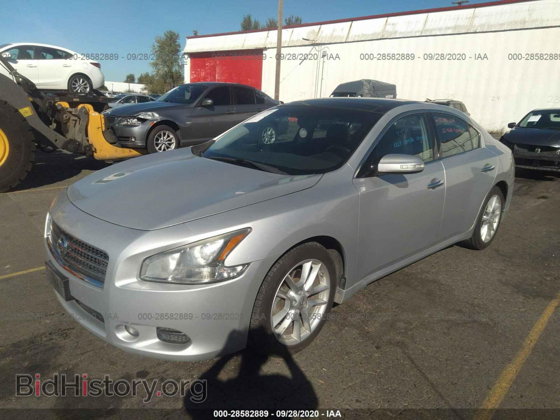 2011 NISSAN MAXIMA - VIN: 1N4AA5AP3BC853803 - Фото 2