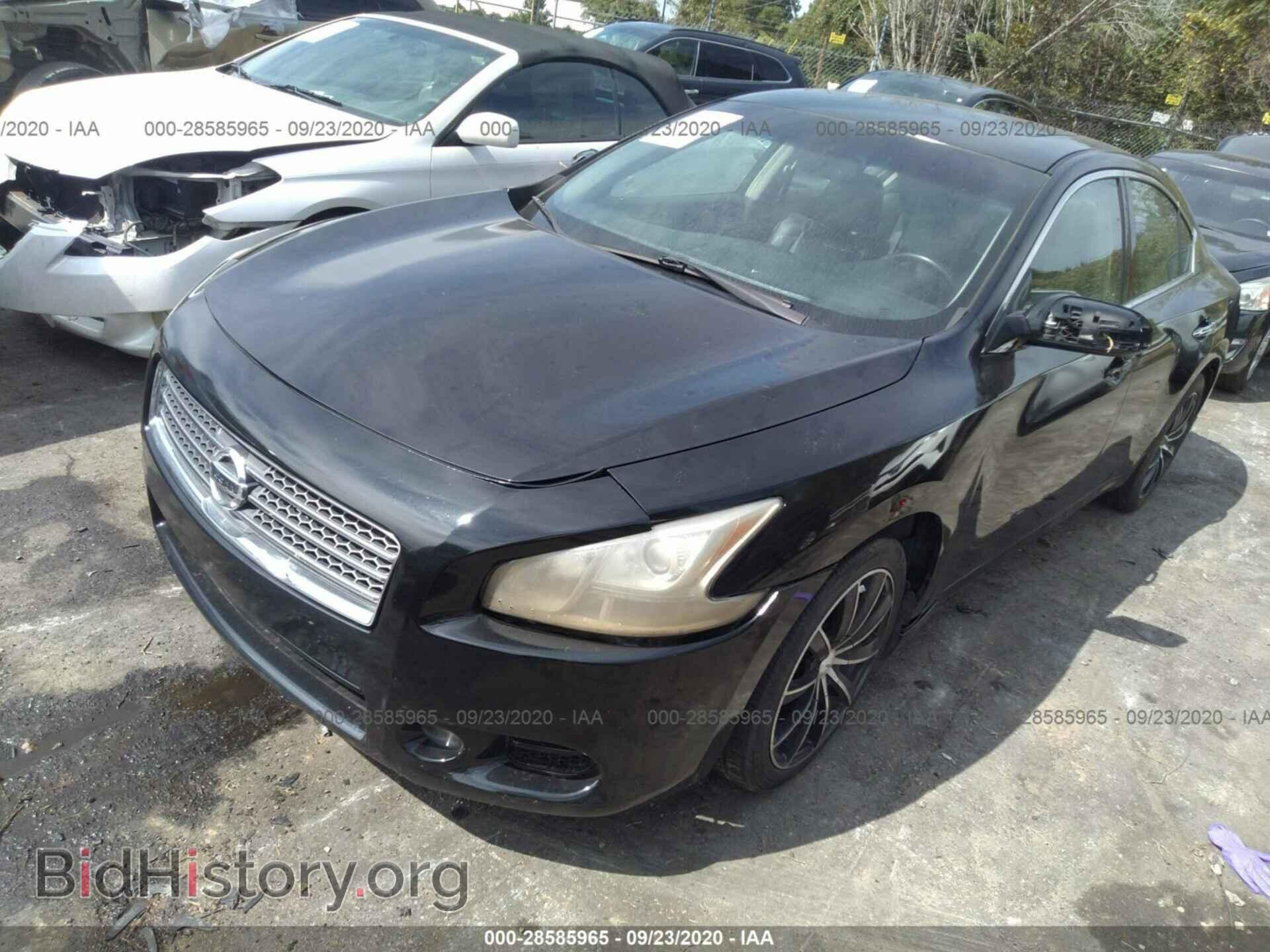 2009 NISSAN MAXIMA - VIN: 1N4AA51E89C827609 - Фото 2
