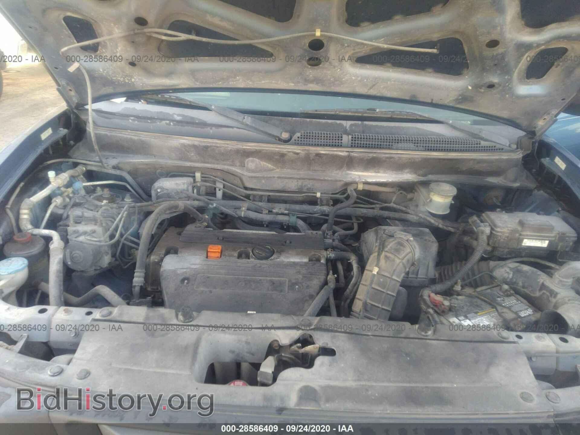 2008 HONDA ELEMENT - VIN: 5J6YH18318L005132 - Фото 10