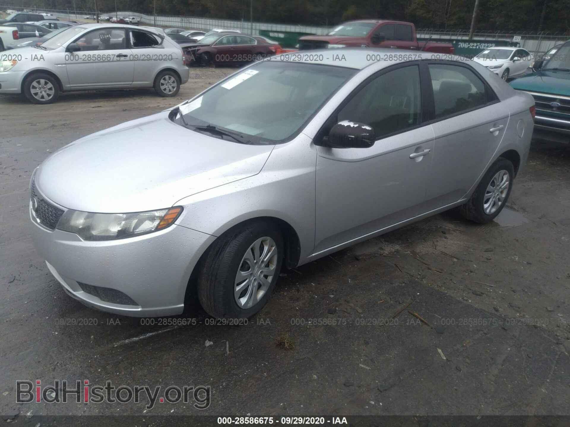 2012 KIA FORTE - VIN: KNAFT4A21C5594711 - Фото 2