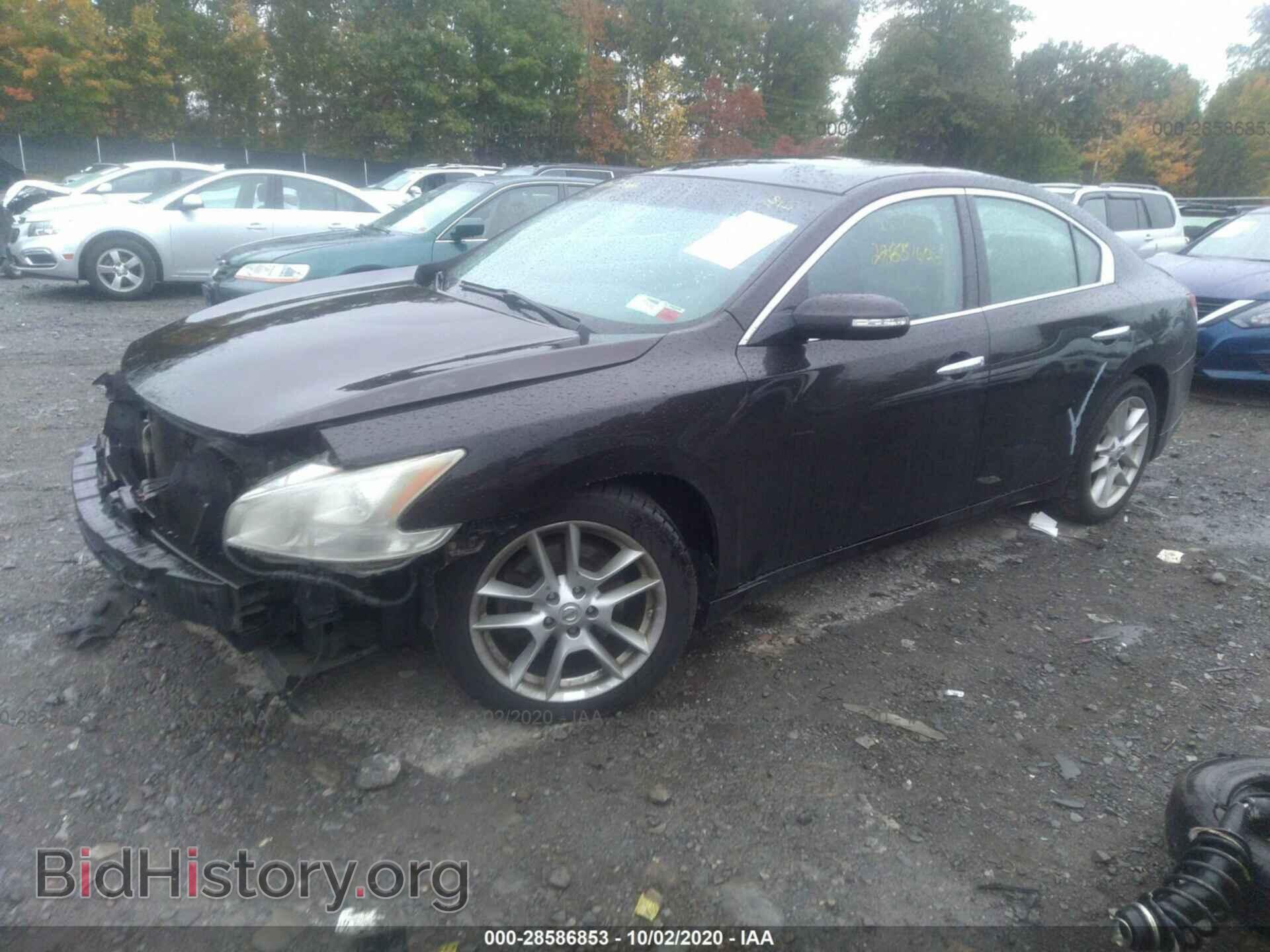 2011 NISSAN MAXIMA - VIN: 1N4AA5AP3BC826472 - Фото 2