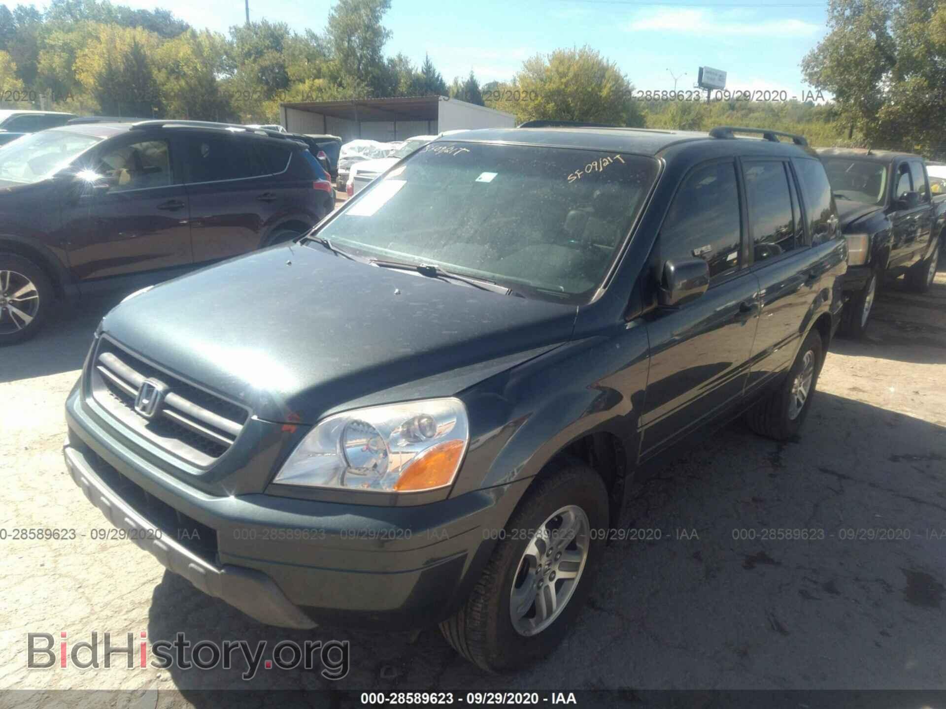 2005 HONDA PILOT - VIN: 5FNYF18615B014028 - Фото 2