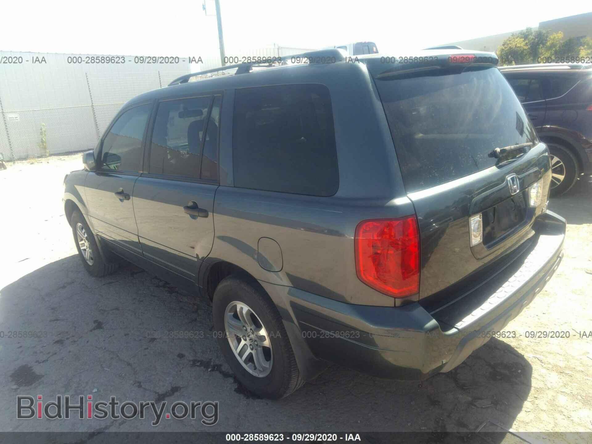 2005 HONDA PILOT - VIN: 5FNYF18615B014028 - Фото 3