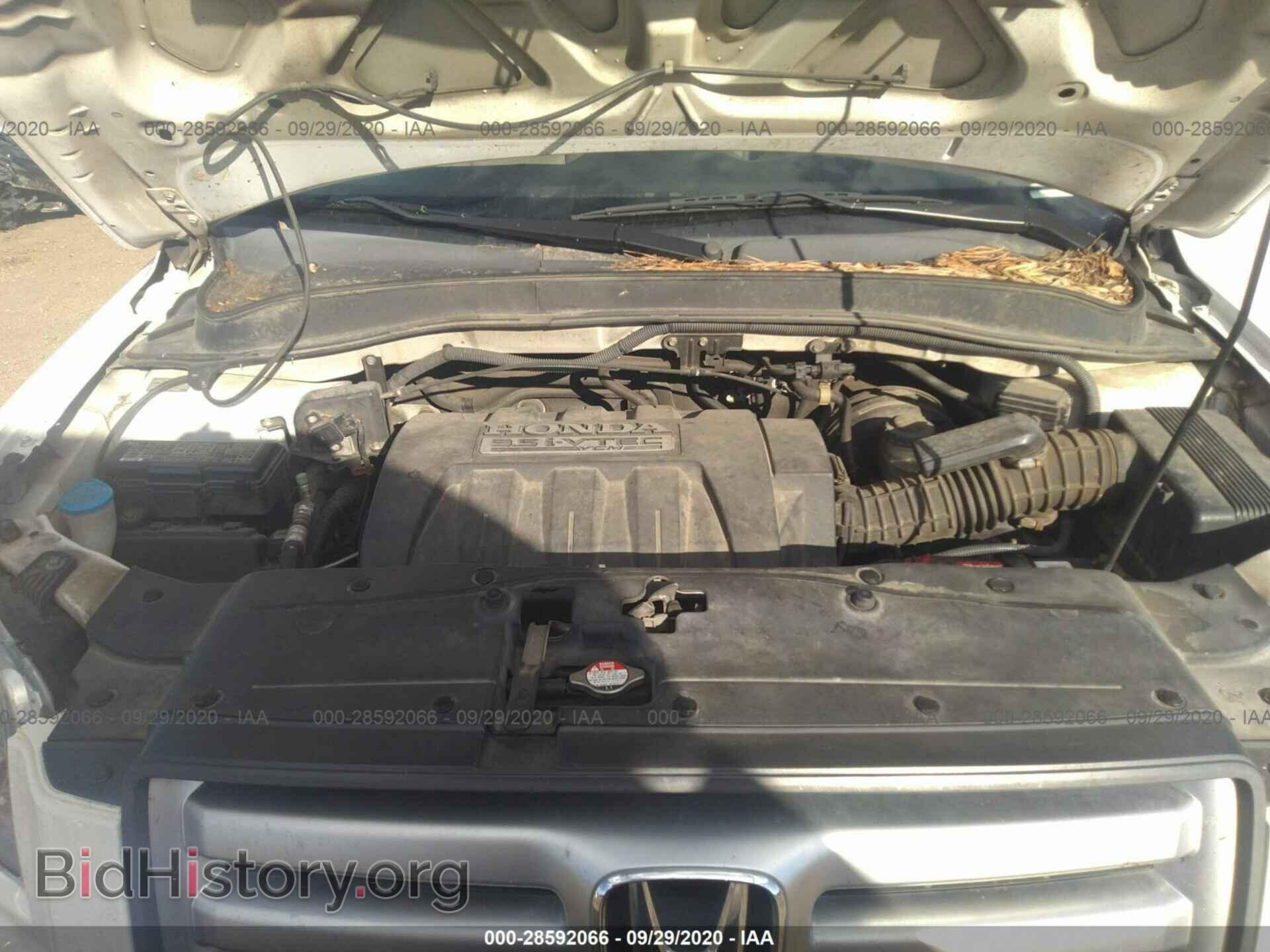 2007 HONDA PILOT - VIN: 5FNYF28577B004197 - Photo 10