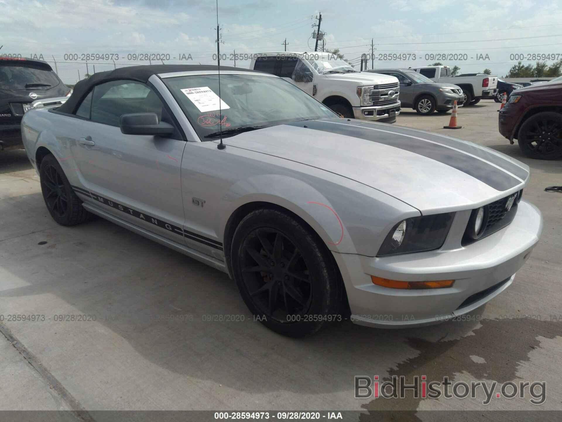 Photo 1ZVHT85H665204768 - FORD MUSTANG 2006
