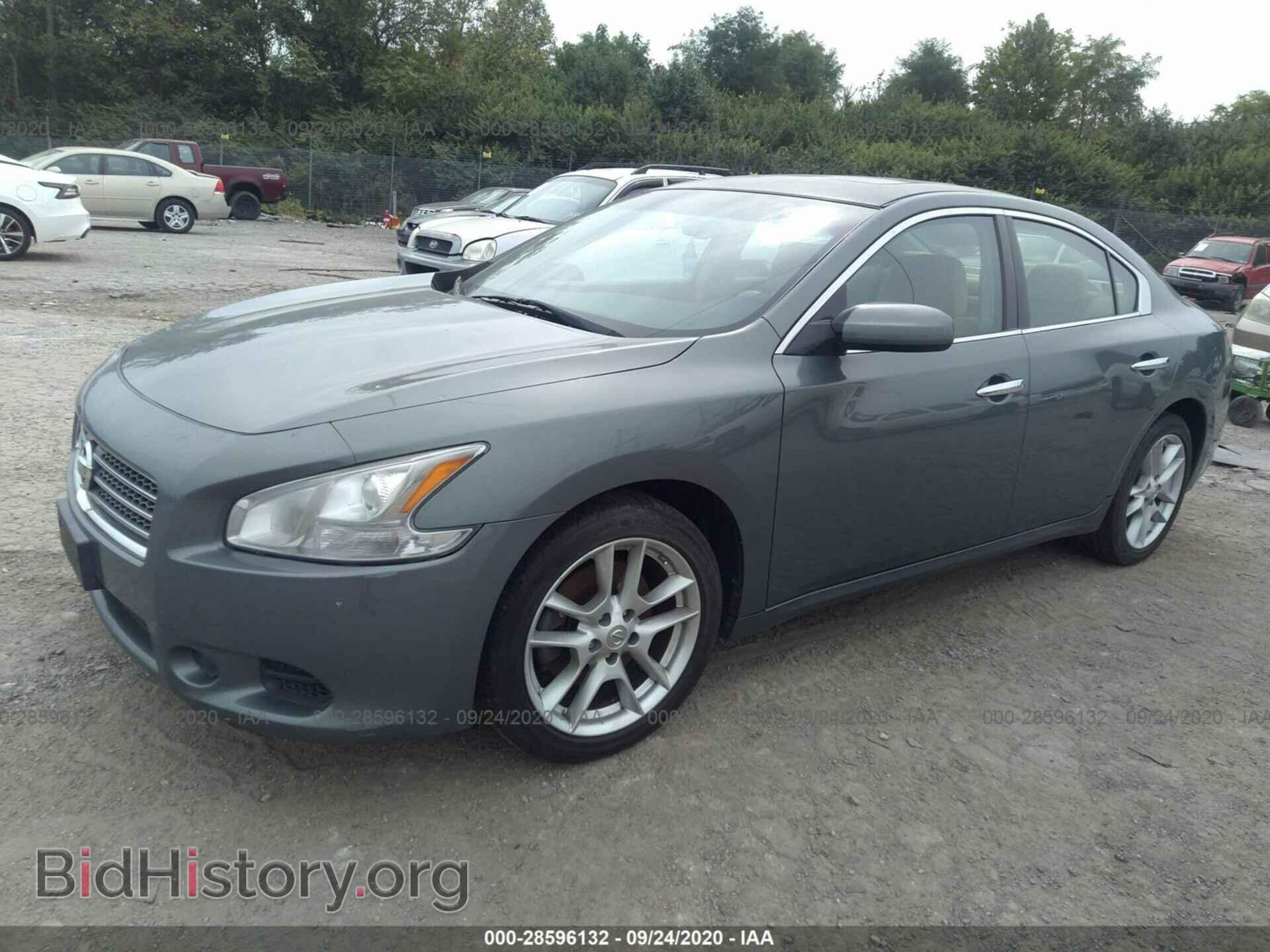 2011 NISSAN MAXIMA - VIN: 1N4AA5AP3BC833907 - Фото 2