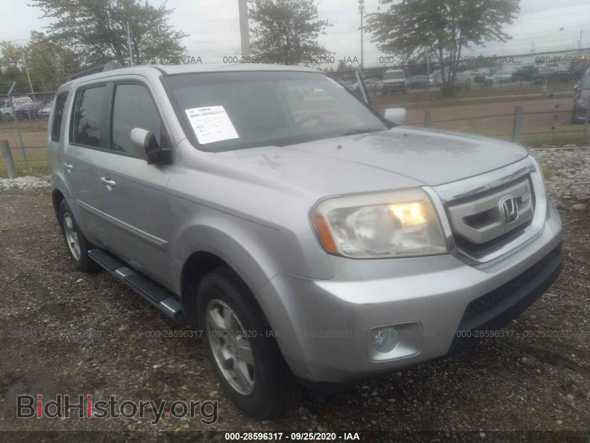 Фотография 5FNYF3H53BB023098 - HONDA PILOT 2011