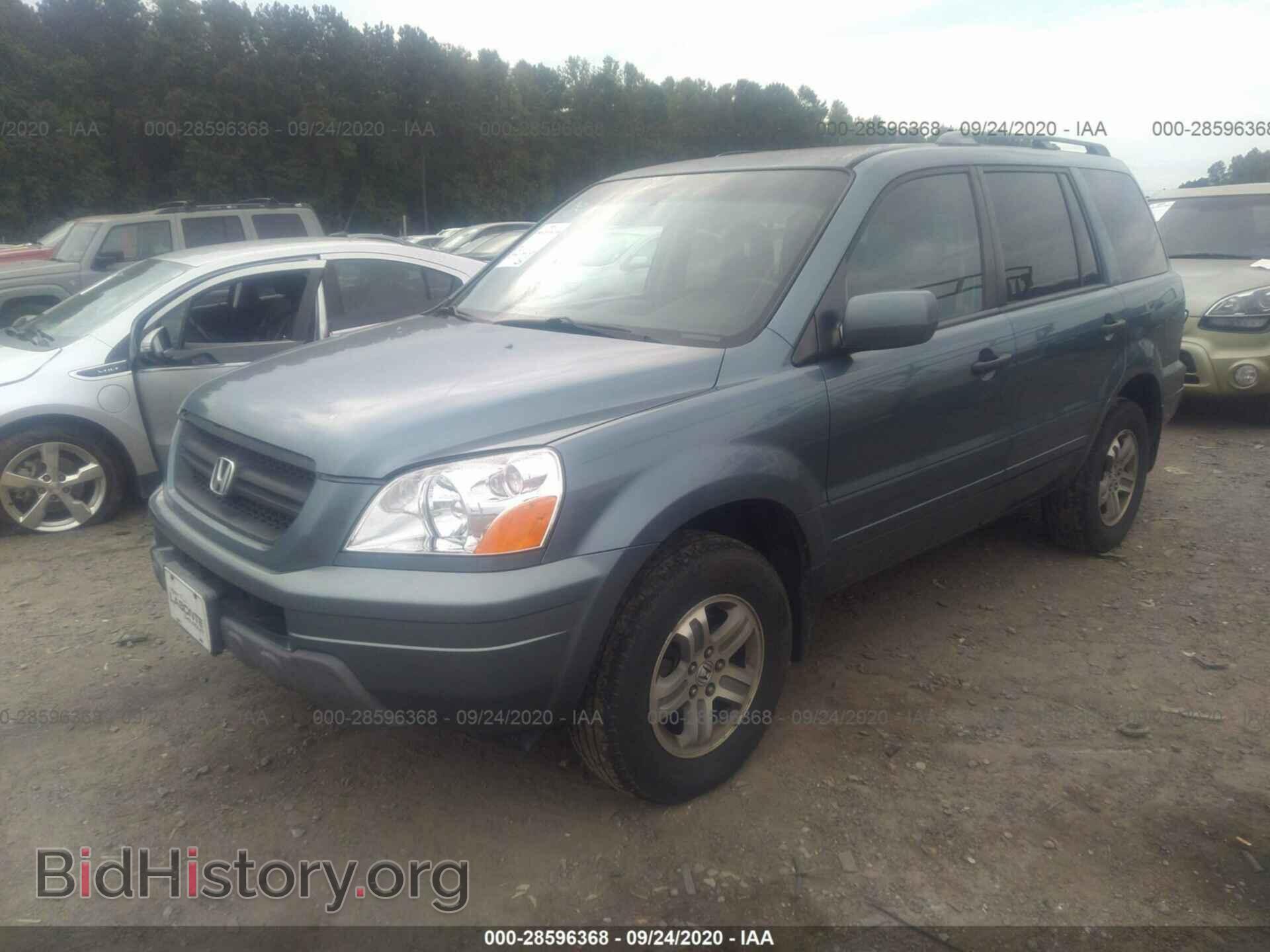 2005 HONDA PILOT - VIN: 2HKYF18405H533877 - Фото 2