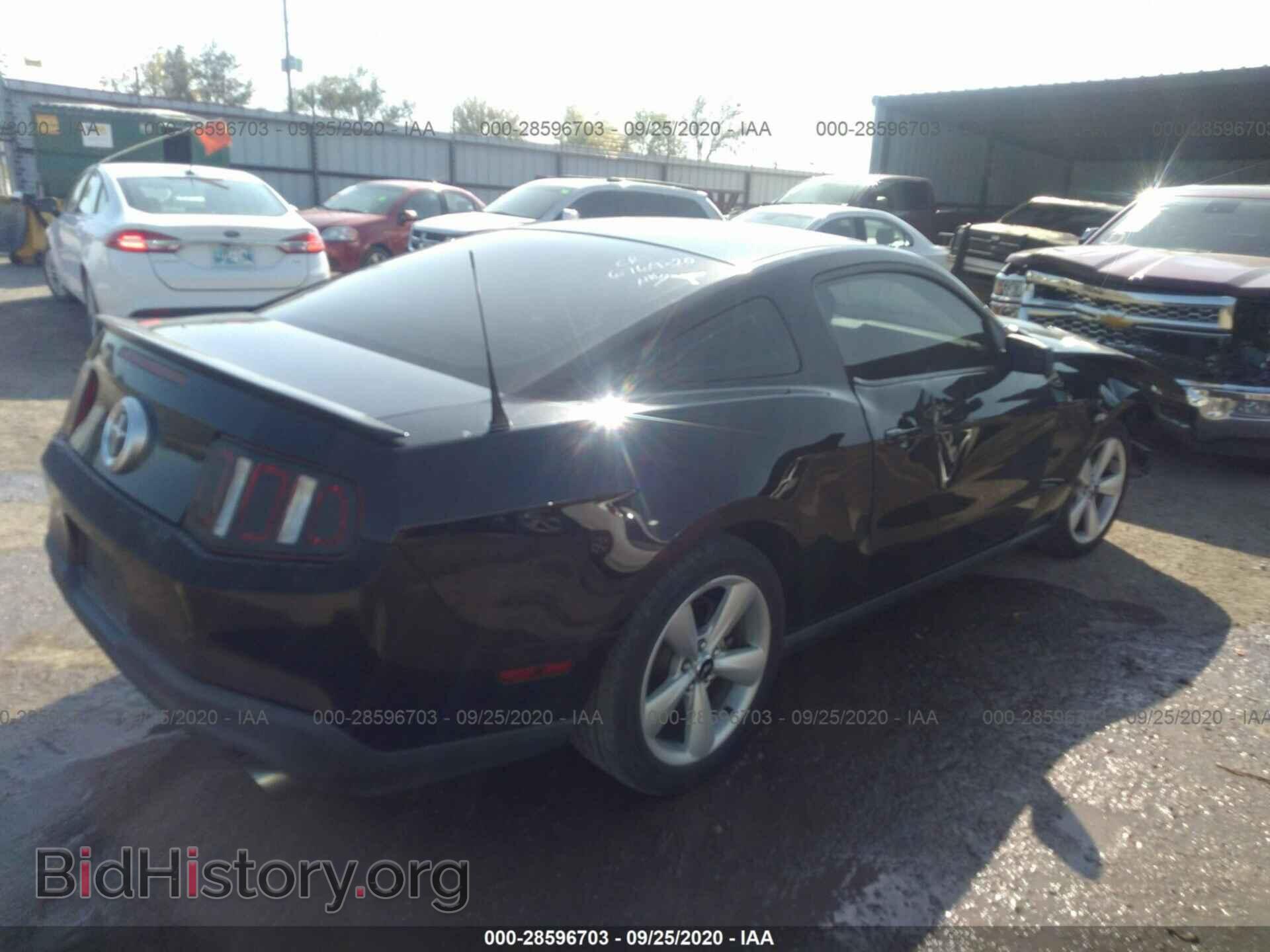 2012 FORD MUSTANG - VIN: 1ZVBP8AM4C5214594 - Фото 4