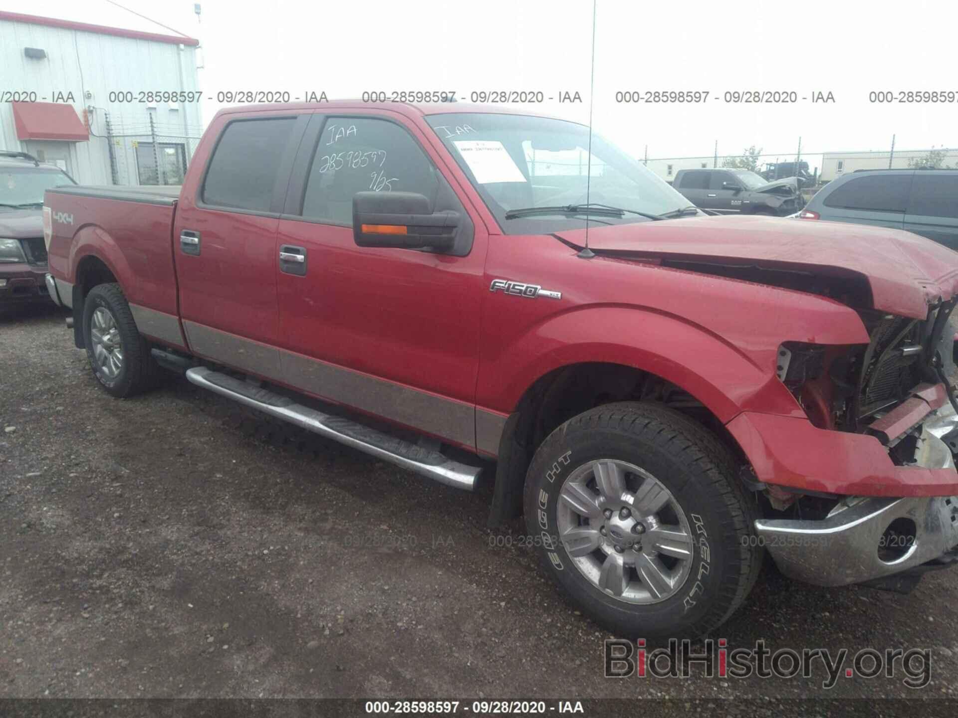 Photo 1FTFW1EV4AKE76650 - FORD F-150 2010