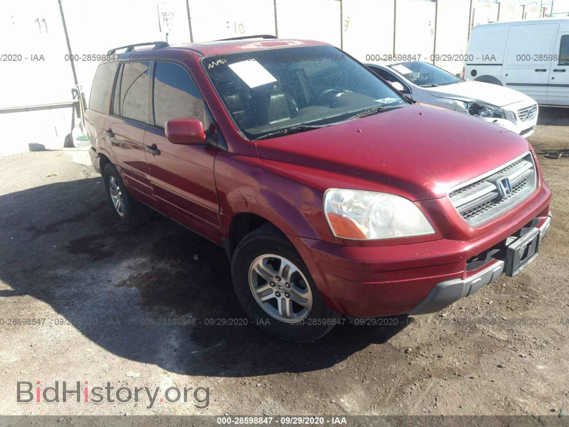 Фотография 5FNYF18505B045259 - HONDA PILOT 2005