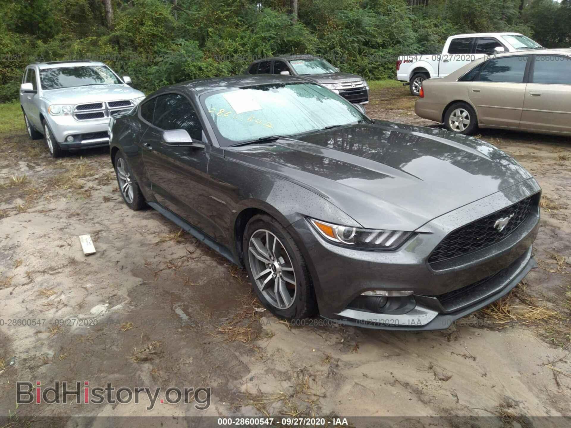 Фотография 1FA6P8TH5F5374515 - FORD MUSTANG 2015