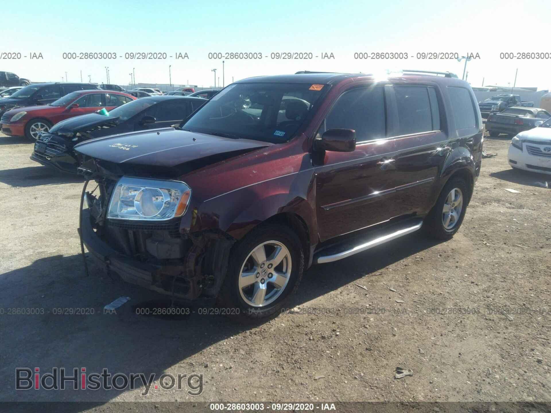 2009 HONDA PILOT - VIN: 5FNYF48519B005456 - Фото 2