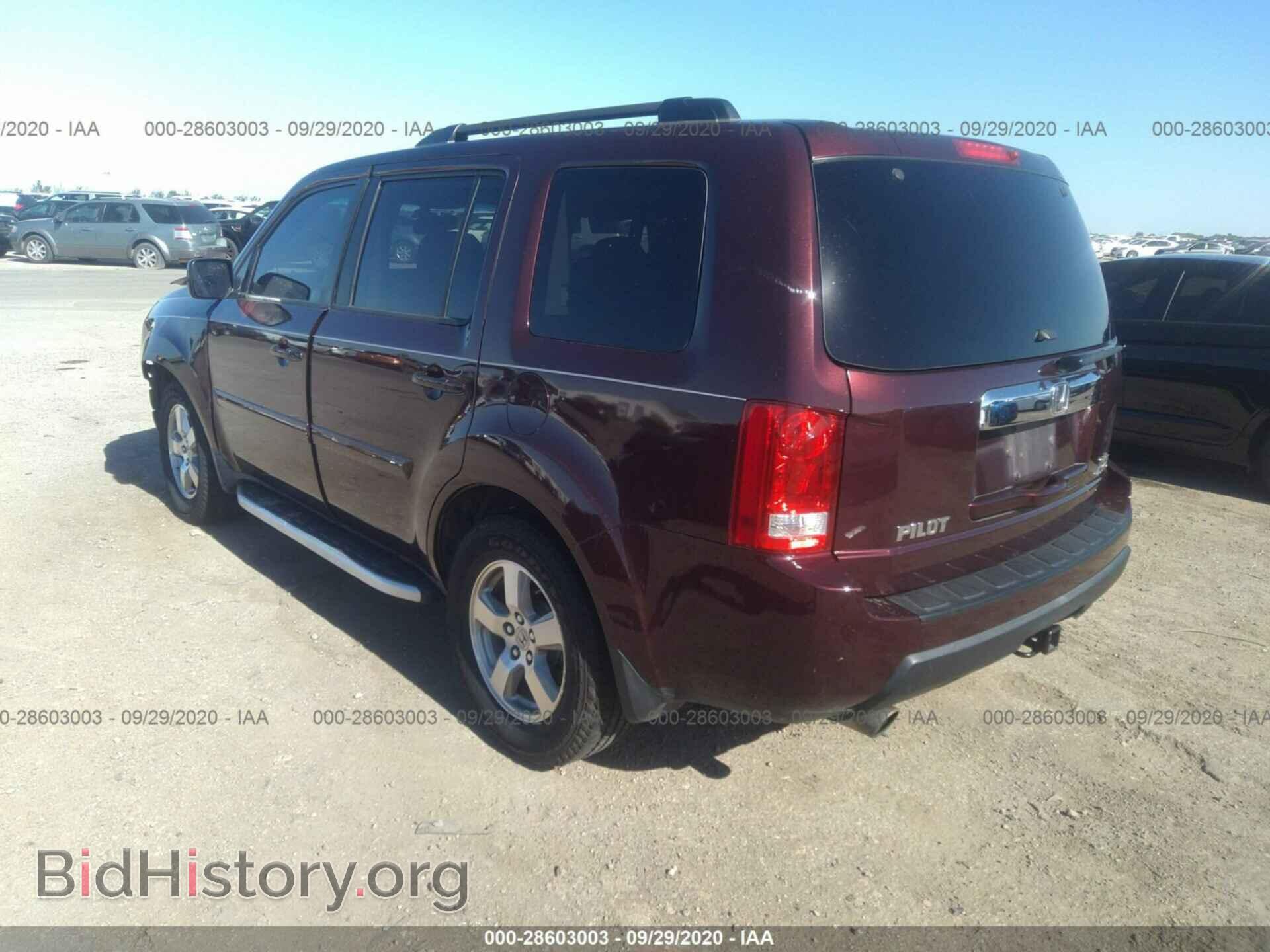 2009 HONDA PILOT - VIN: 5FNYF48519B005456 - Фото 3