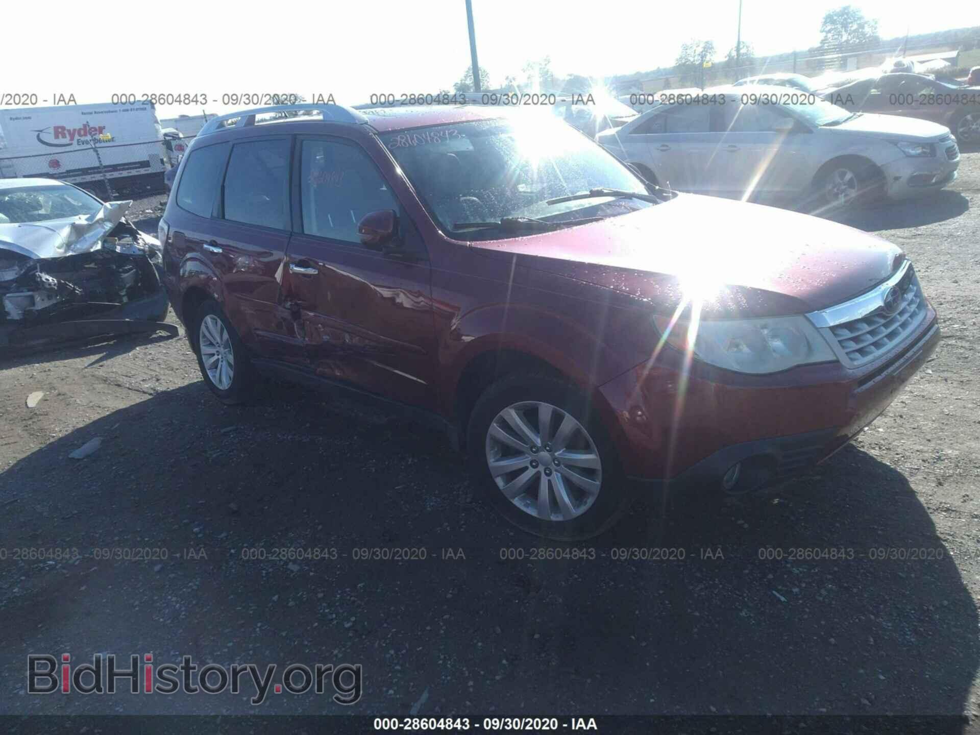 Фотография JF2SHAGC4BH721077 - SUBARU FORESTER 2011
