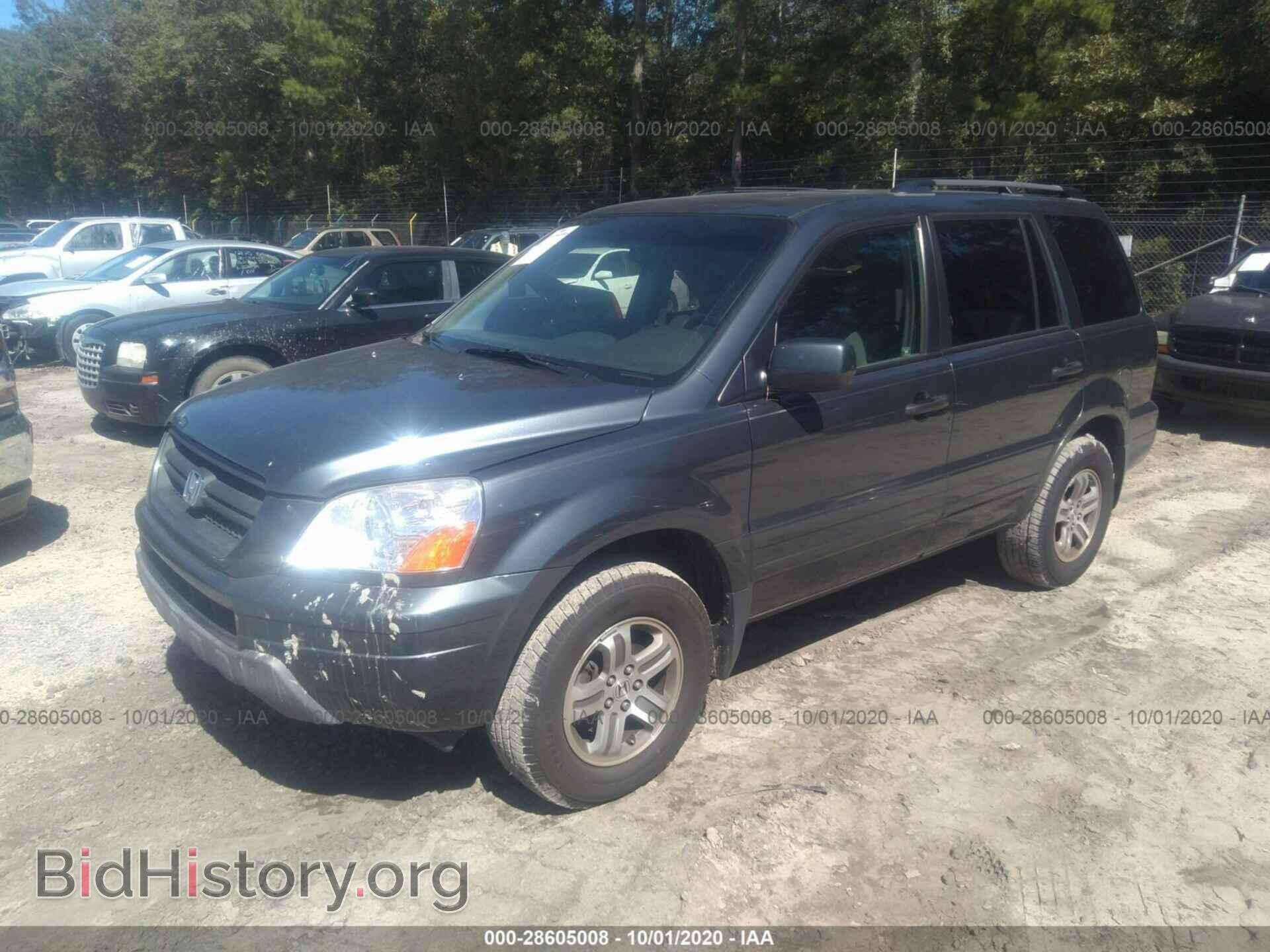2005 HONDA PILOT - VIN: 5FNYF18595B007769 - Фото 2