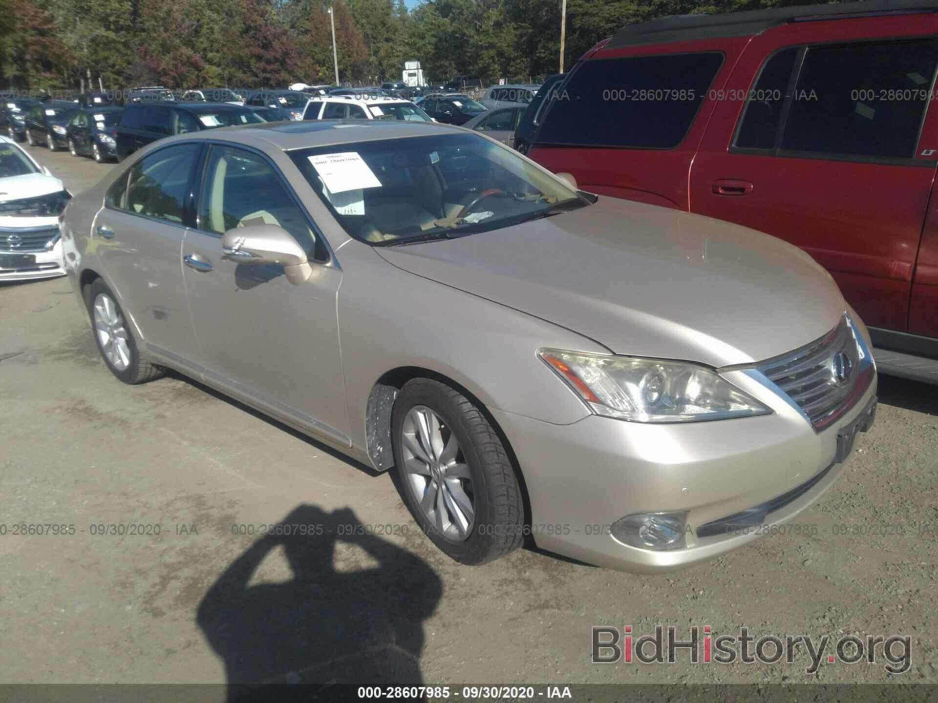 Photo JTHBK1EG4A2383931 - LEXUS ES 350 2010