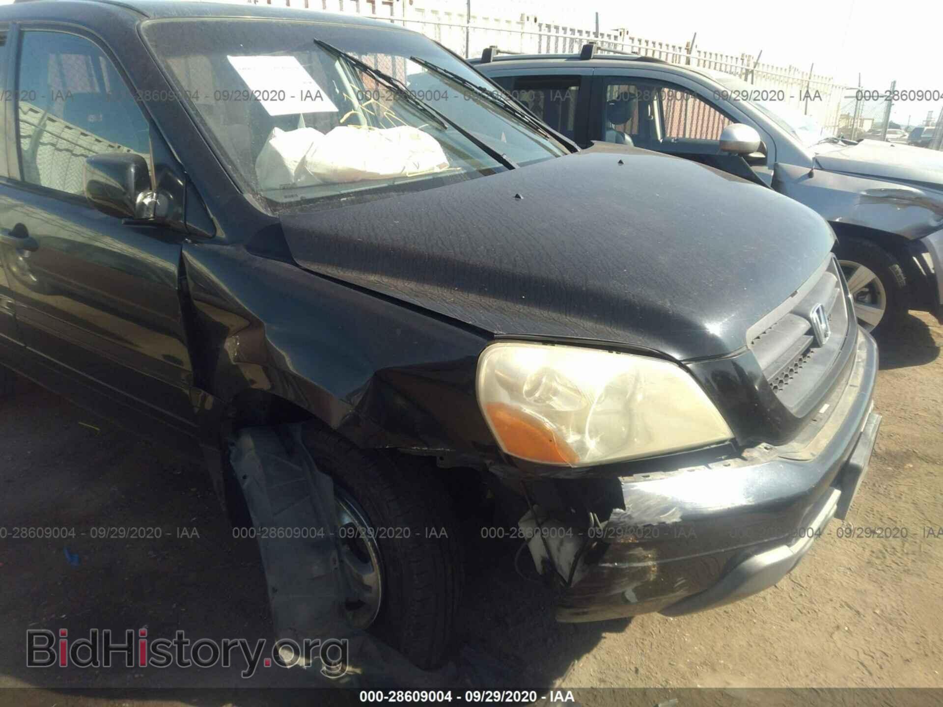 2005 HONDA PILOT - VIN: 2HKYF18445H570222 - Фото 6
