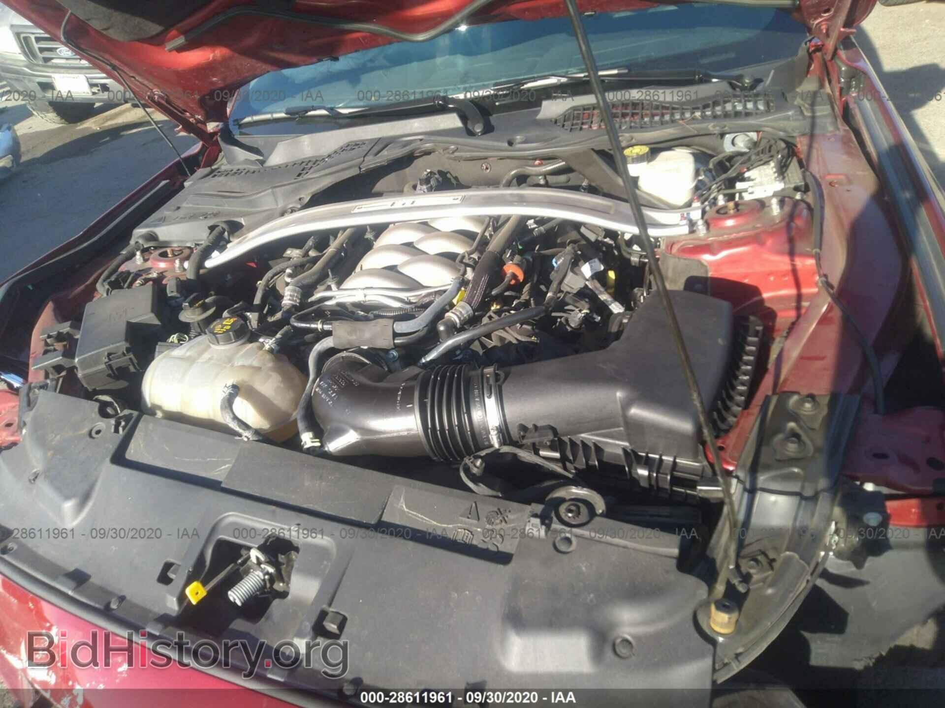 2019 FORD MUSTANG - VIN: 1FA6P8CF0K5175512 - Фото 10