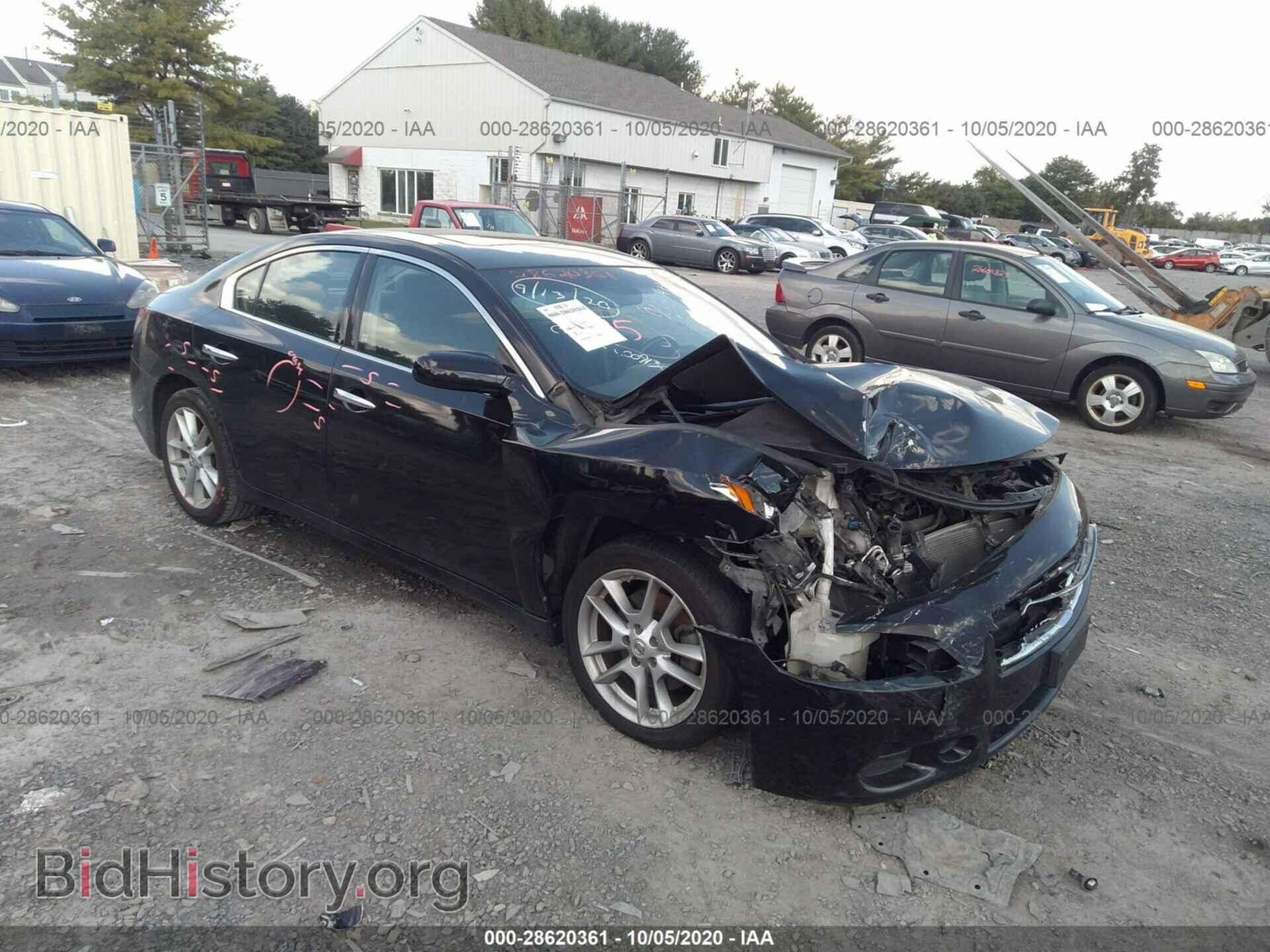 Фотография 1N4AA5AP9BC802418 - NISSAN MAXIMA 2011