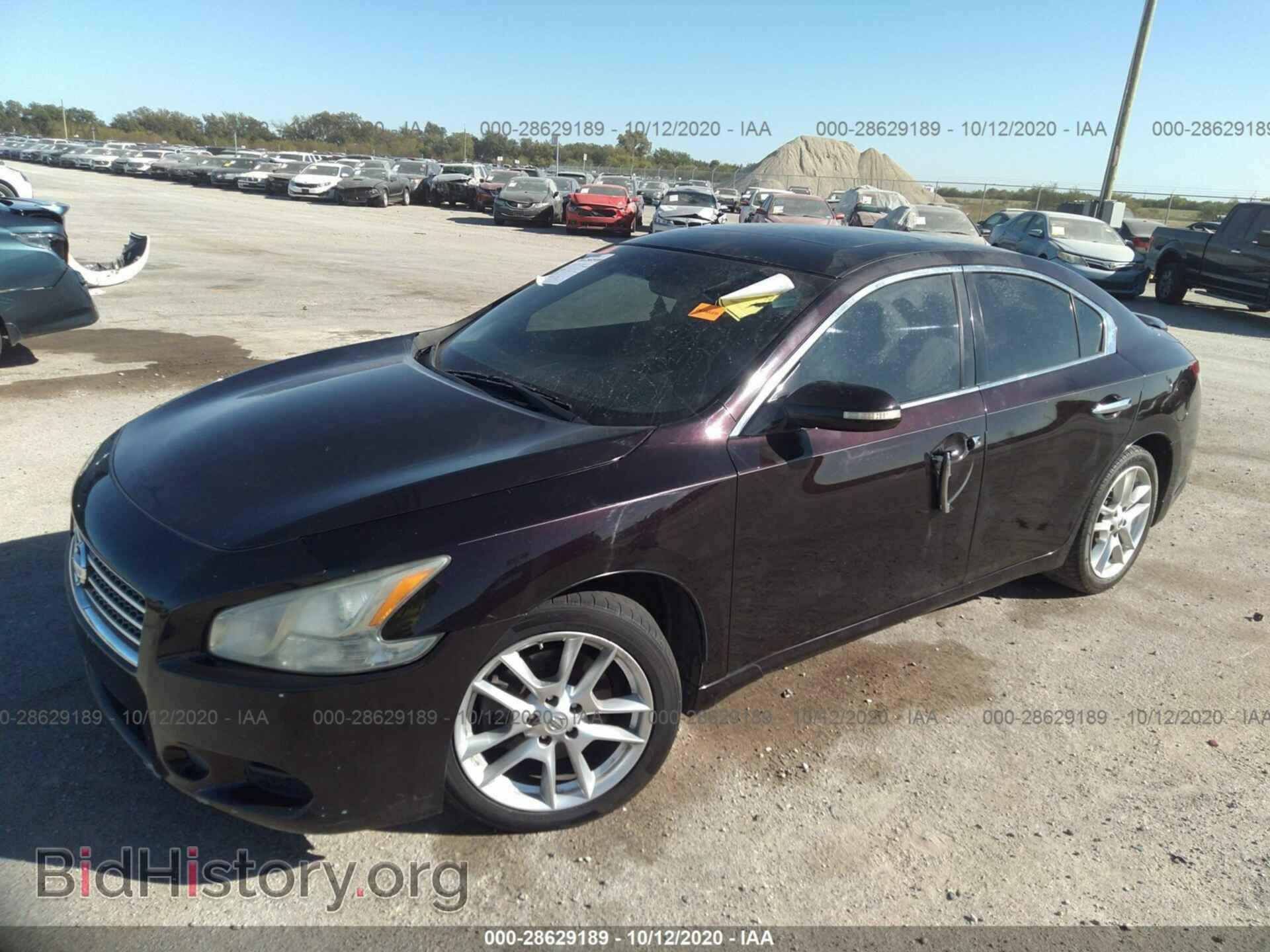 2011 NISSAN MAXIMA - VIN: 1N4AA5AP9BC856253 - Фото 2